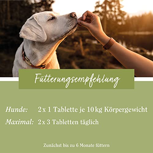 sanct-bernhard-tierlieb-herz-kreislauf-tabletten-hund-180-tabletten image 6