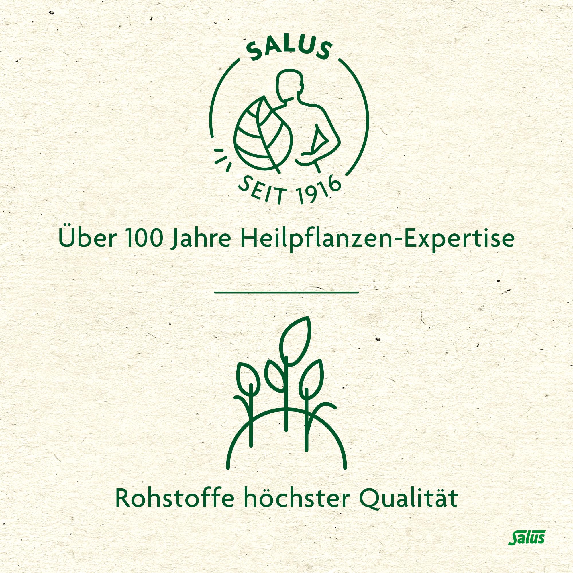 salus-wintertee-zauberhaftes-afrika-rooibos-bio-15-filterbeutel image 5