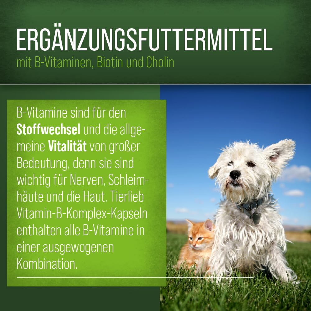 sanct-bernhard-vitamin-b-komplex-f-r-hunde-120-kapseln image 2