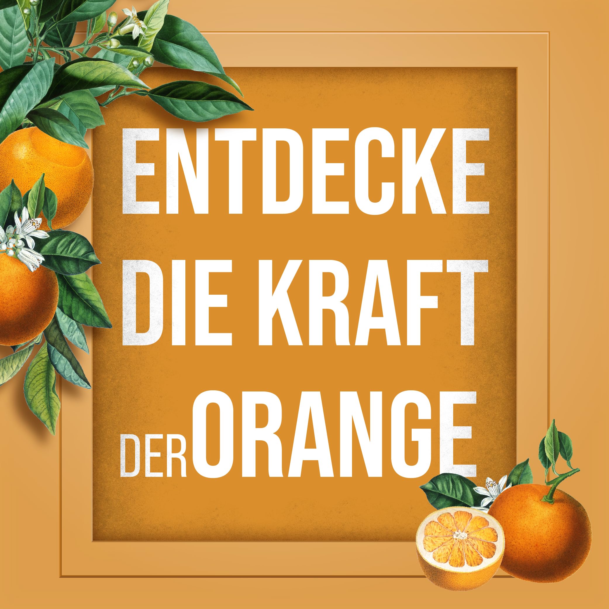 sanct-bernhard-orangen-universalreiniger-konzentrat-1-liter image 2