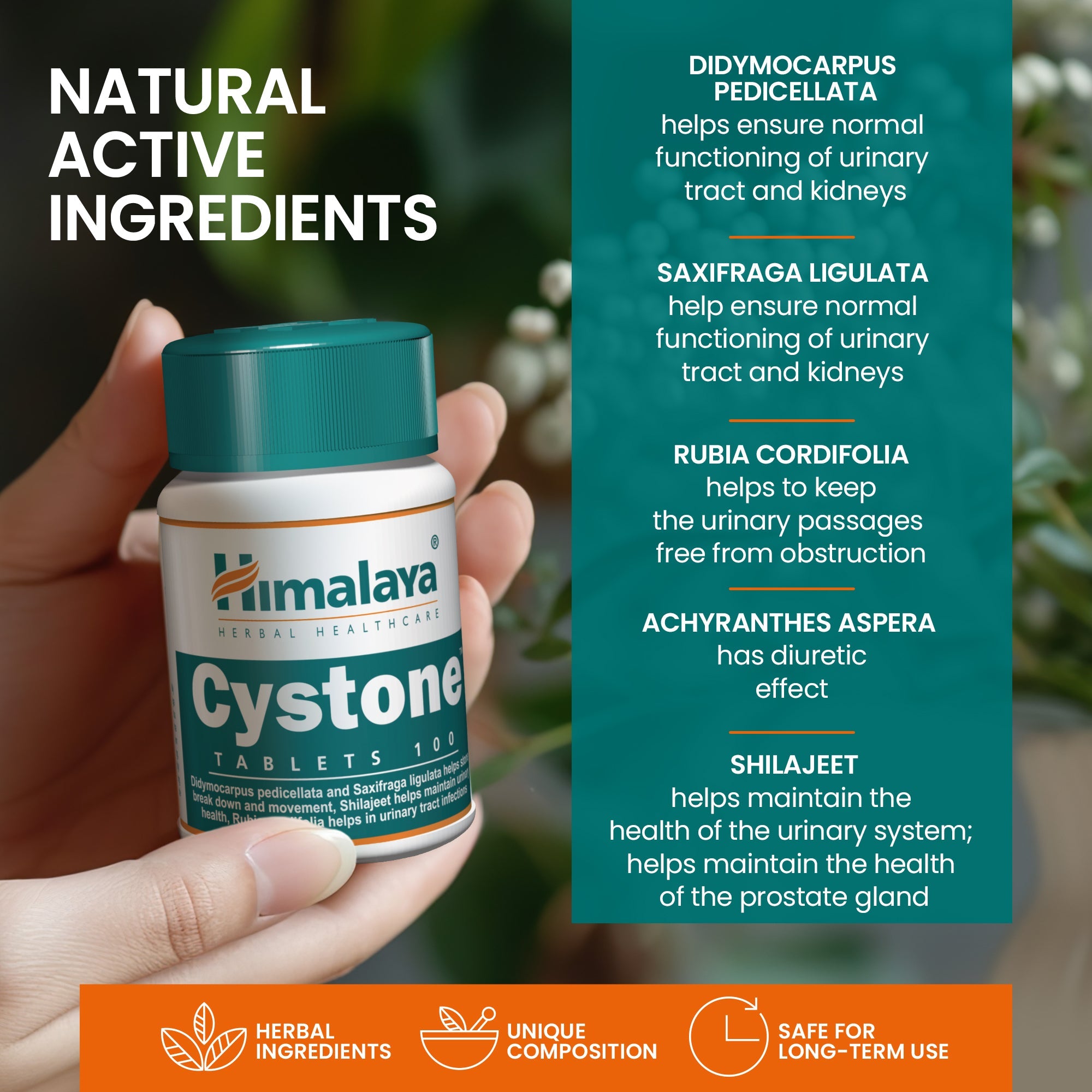 himalaya-cystone-tabletten-100-stk-nieren-harnwege image 6