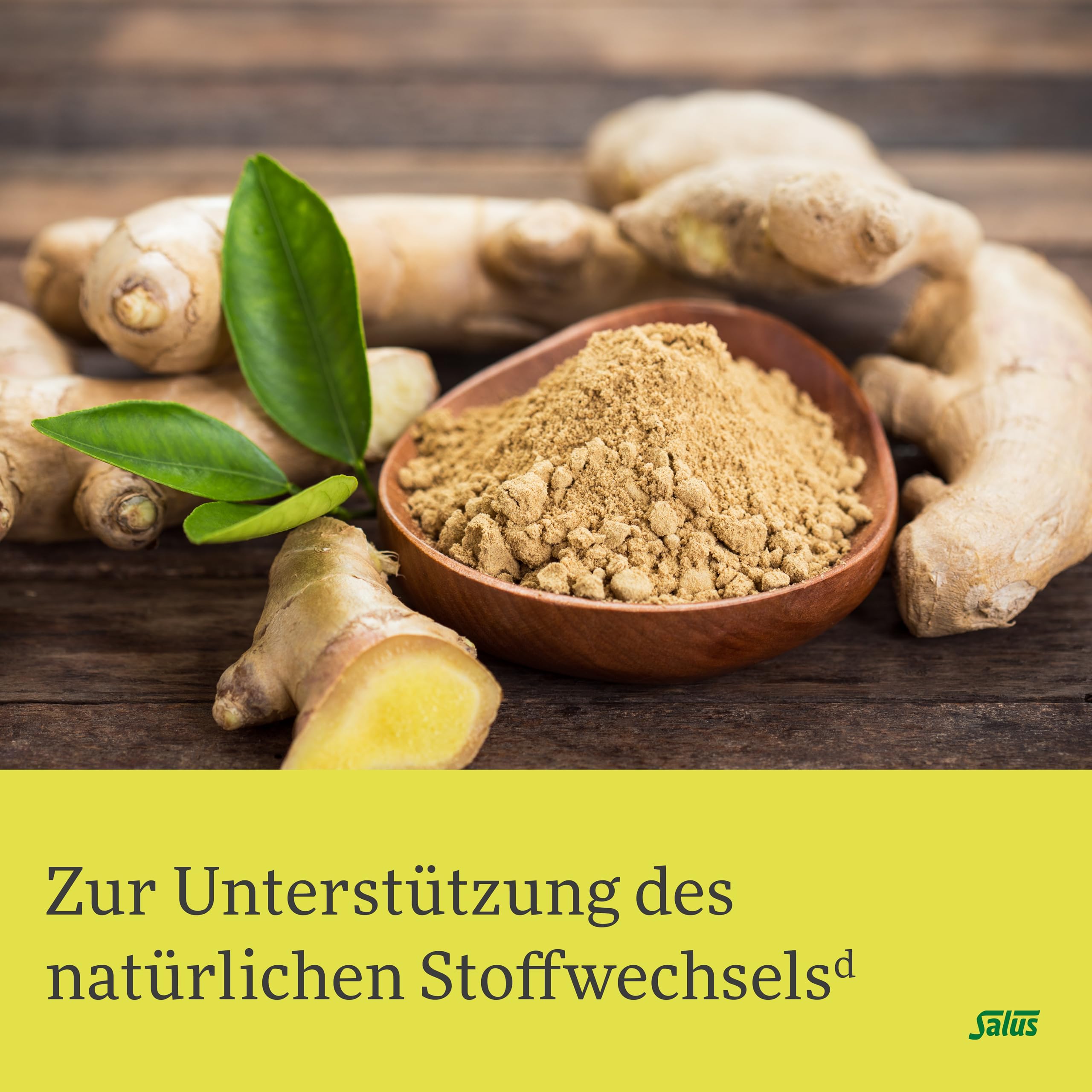 salus-kraft-der-natur-moringa-ingwer-tee-bio-15-stoffwechsel image 3