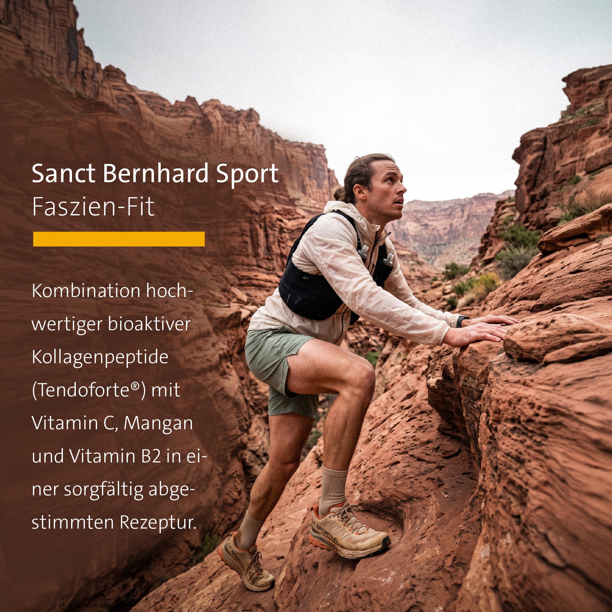 sanct-bernhard-faszien-recovery-drink-kollagen-30-beutel image 3