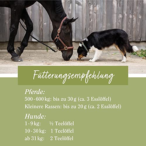 sanct-bernhard-tierlieb-ginkgo-pulver-400-g-hunde-pferde image 7