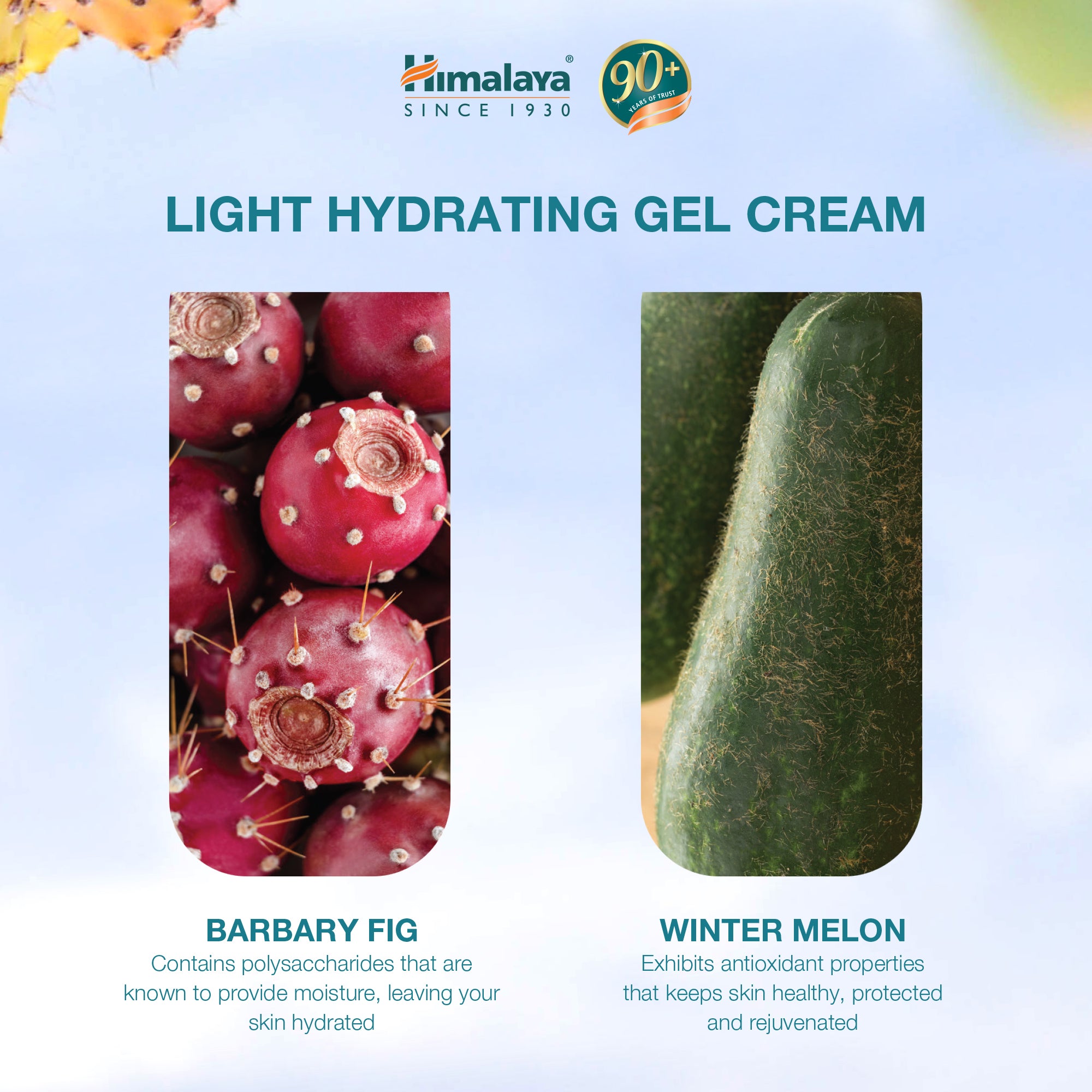 himalaya-light-hydrating-gel-creme-gesicht-50-g-mattierend image 4