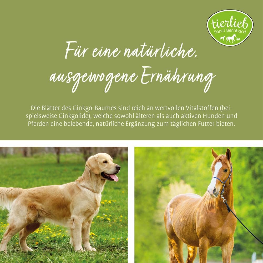 sanct-bernhard-tierlieb-ginkgo-pulver-400-g-hunde-pferde image 2