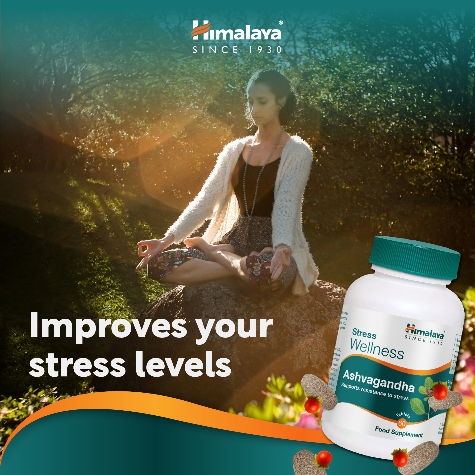 himalaya-ashvagandha-stress-wellness-60-tabletten-vegan image 5