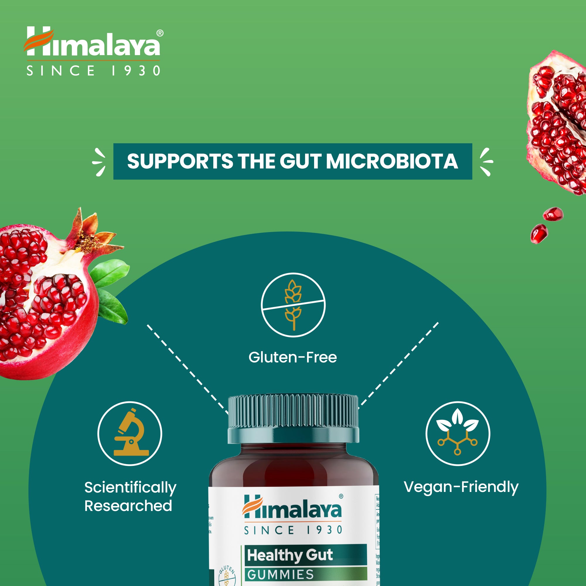 himalaya-healthy-gut-gummies-60-st-ck-probiotikum image 3
