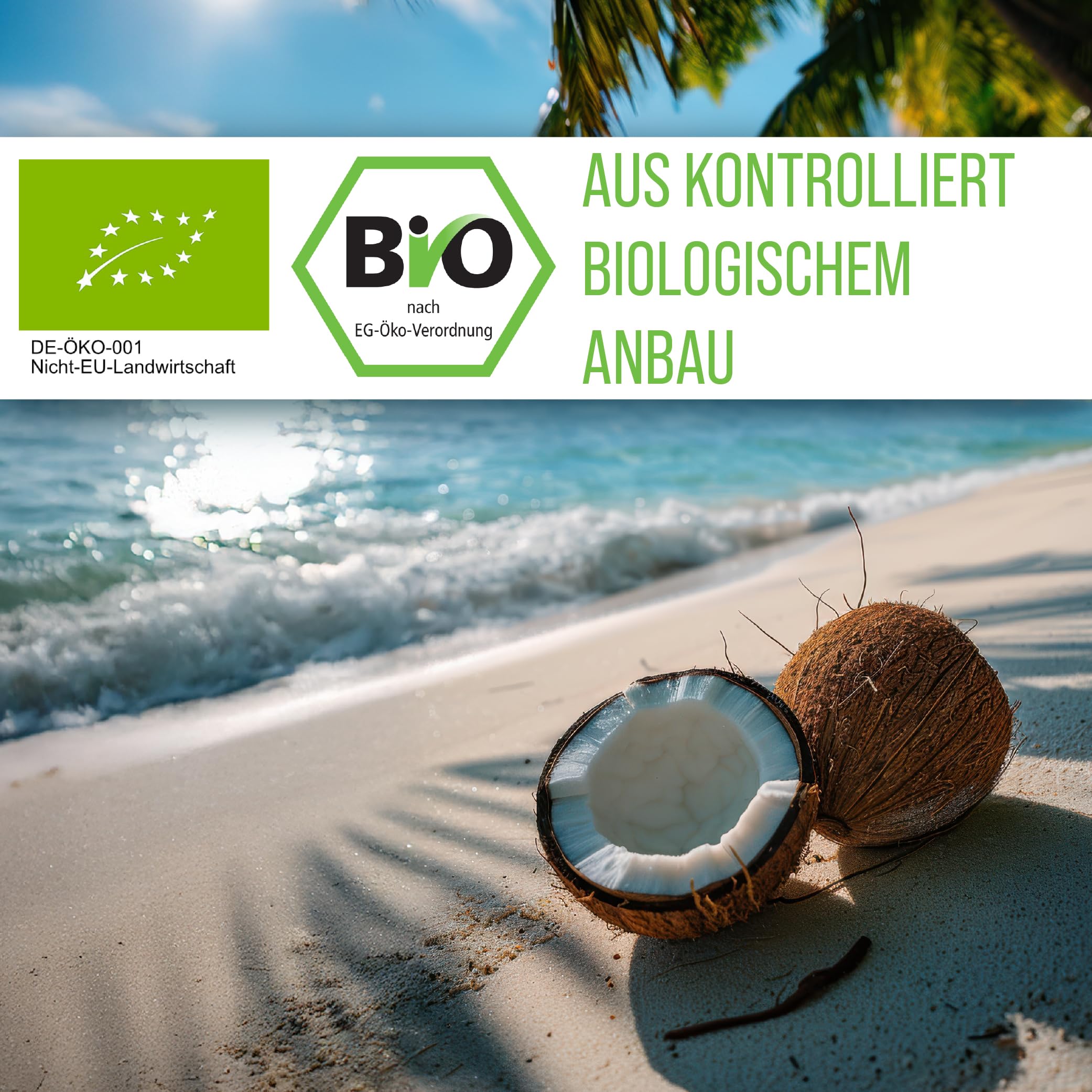kr-uterhaus-sanct-bernhard-bio-kokos-l-kalt-gepresst-1000-ml-glas image 5