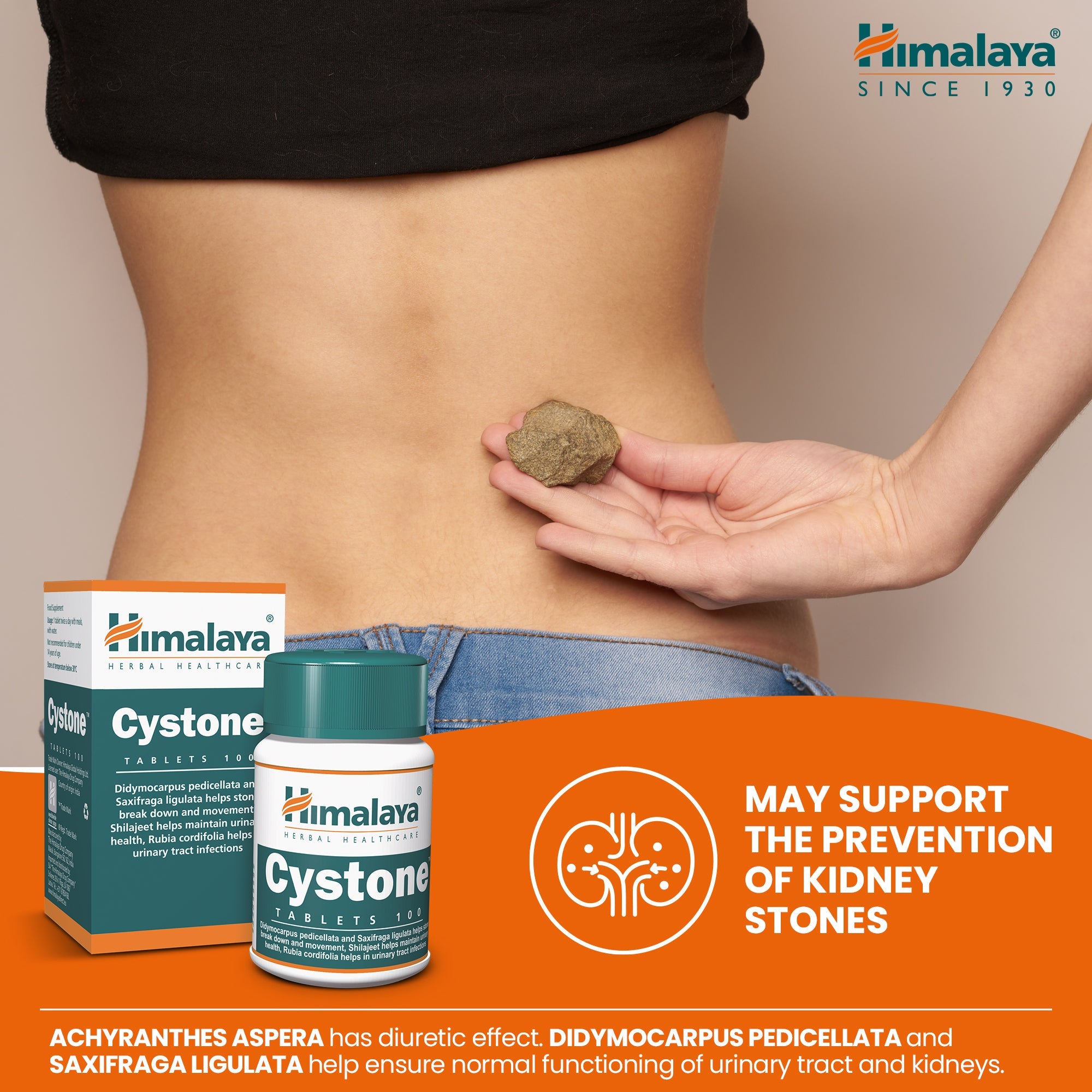 himalaya-cystone-tabletten-100-stk-nieren-harnwege image 2