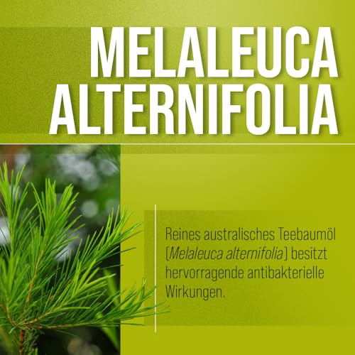 sanct-bernhard-jojoba-teebaum-l-salbe-hautcreme-100-ml-antibakteriell image 7