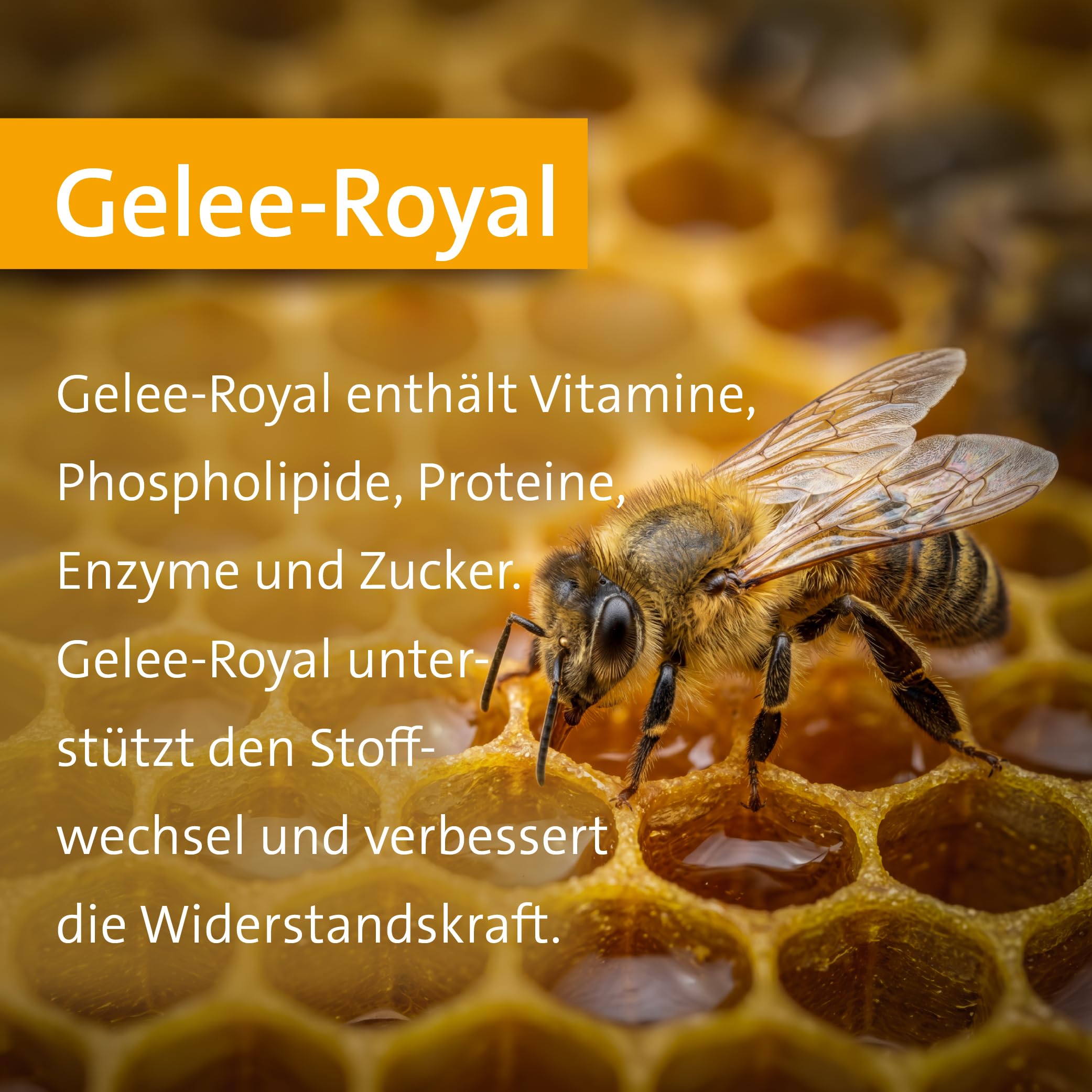 sanct-bernhard-q10-gelee-royal-creme-100-ml-vitamin-e-straffheit image 5