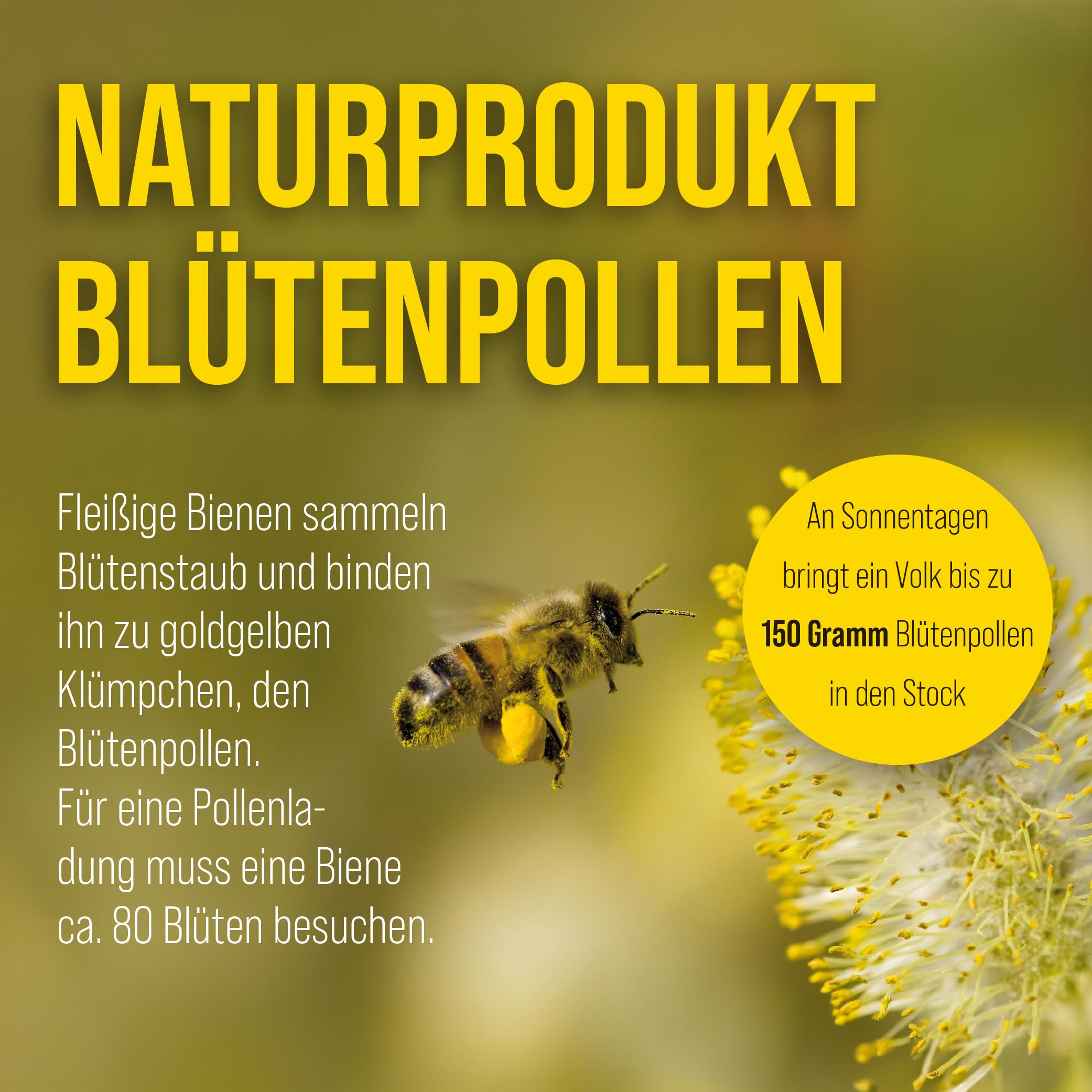 sanct-bernhard-bl-tenpollen-extraqualit-t-naturprodukt-300-g image 2
