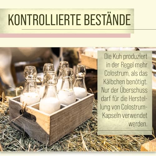sanct-bernhard-colostrum-90-kapseln-90-st-ck-mit-igg image 8