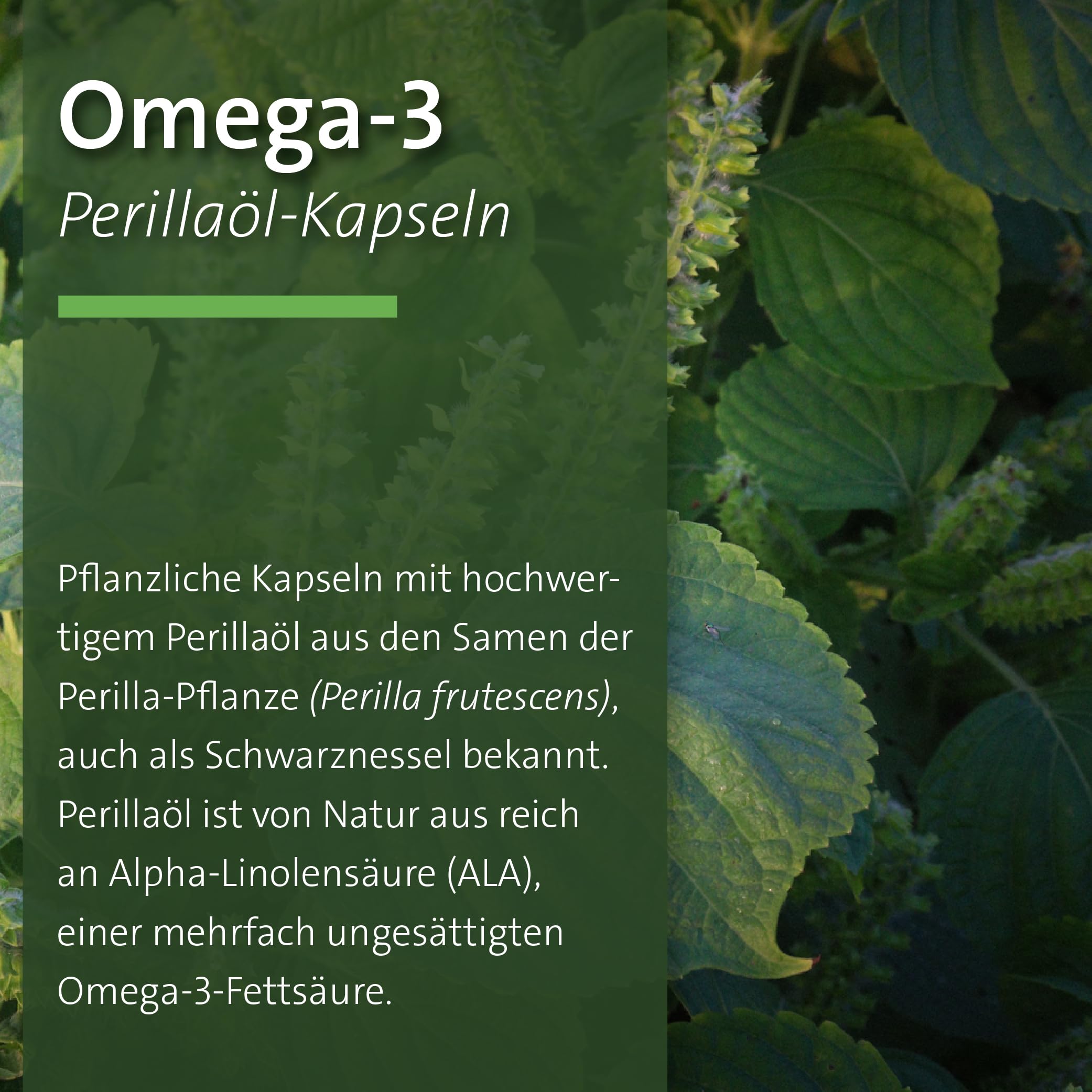 sanct-bernhard-omega-3-perilla-l-kapseln-150-st-ck image 2