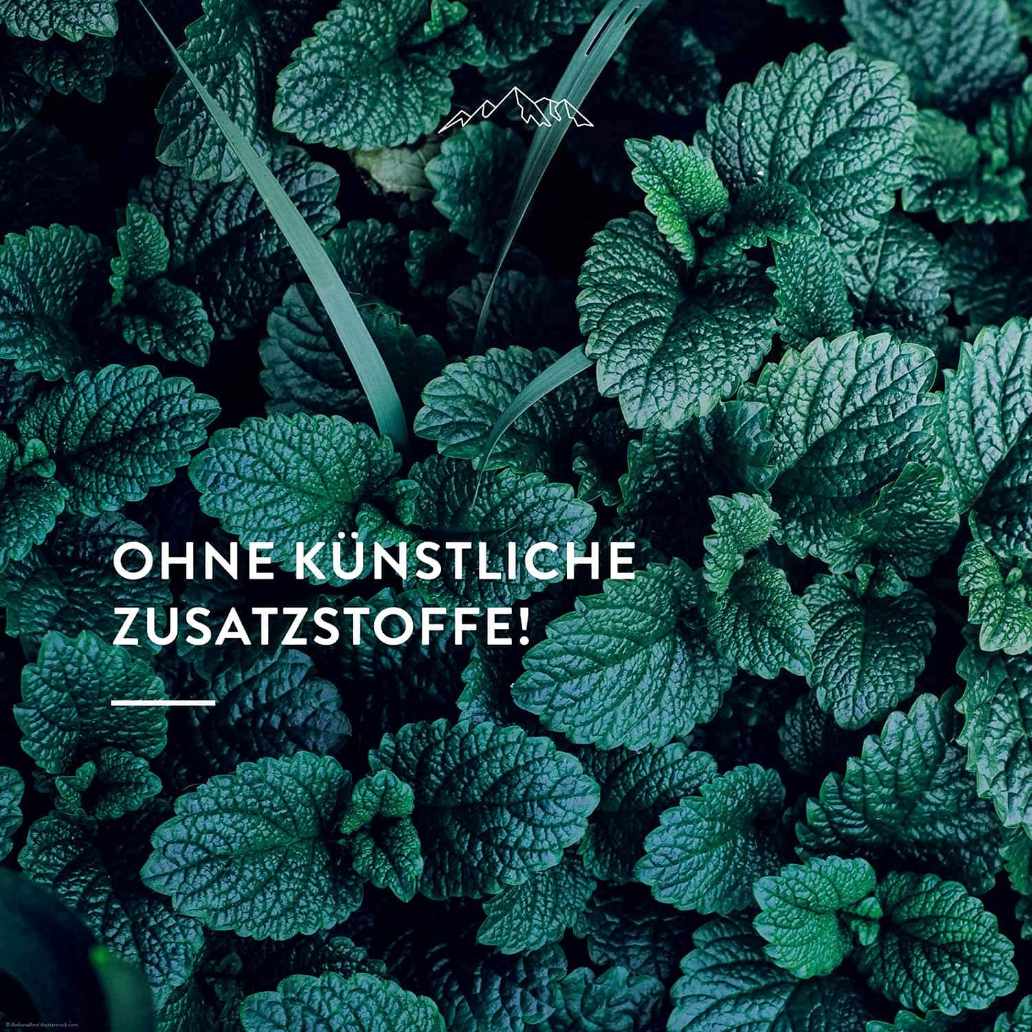 allg-uquelle-frei-zeit-bio-geschenk-set-bade-l-airspray-eukalyptus image 3