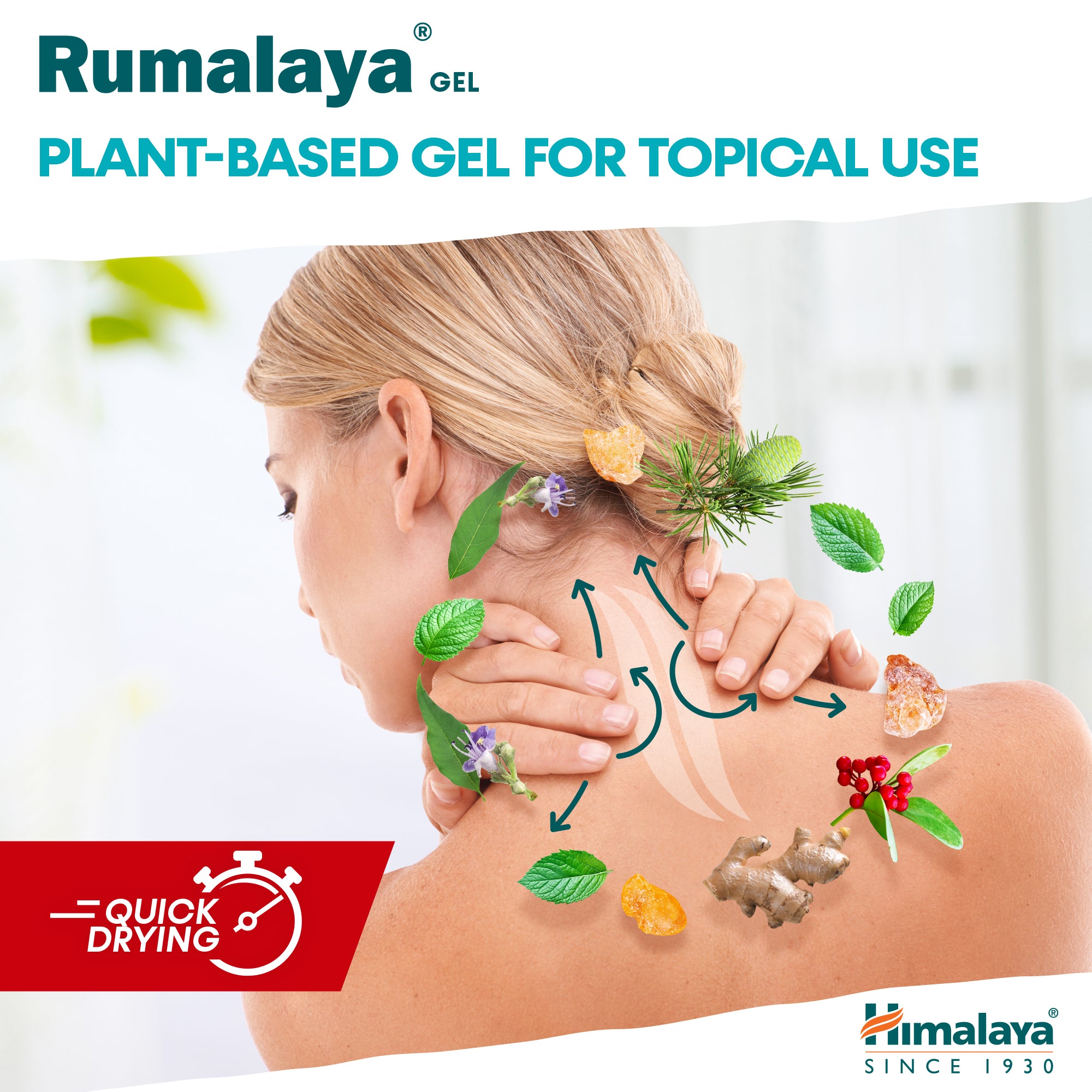 himalaya-rumalaya-gel-50-g-bei-gelenkschmerzen image 4