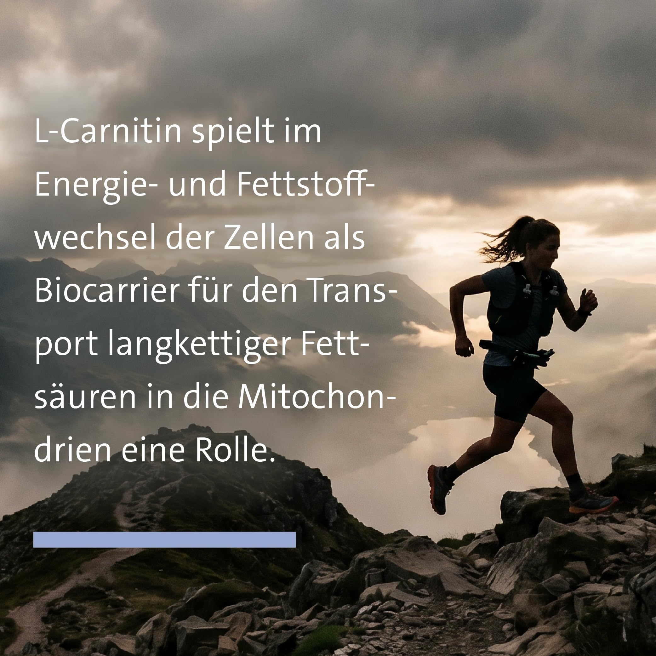 sanct-bernhard-l-carnitin-kapseln-400-mg-200-kapseln-vegan image 3