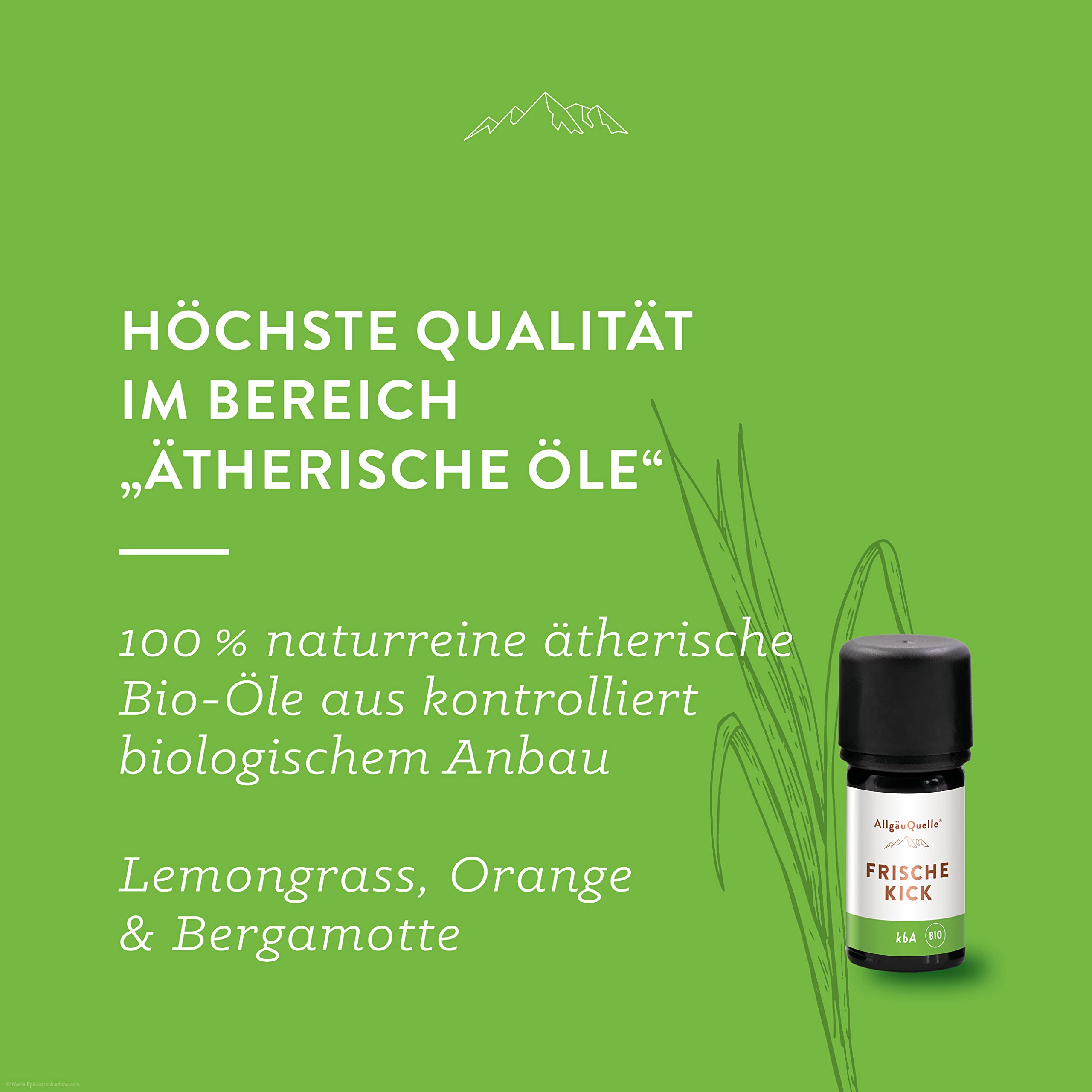 allg-uquelle-frische-kick-bio-duft-l-lemongrass-5-ml-diffusor image 2