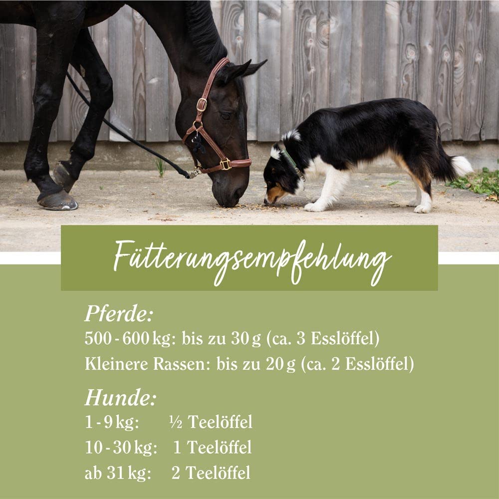 sanct-bernhard-tierlieb-ginkgo-pulver-400-g-hunde-pferde image 3