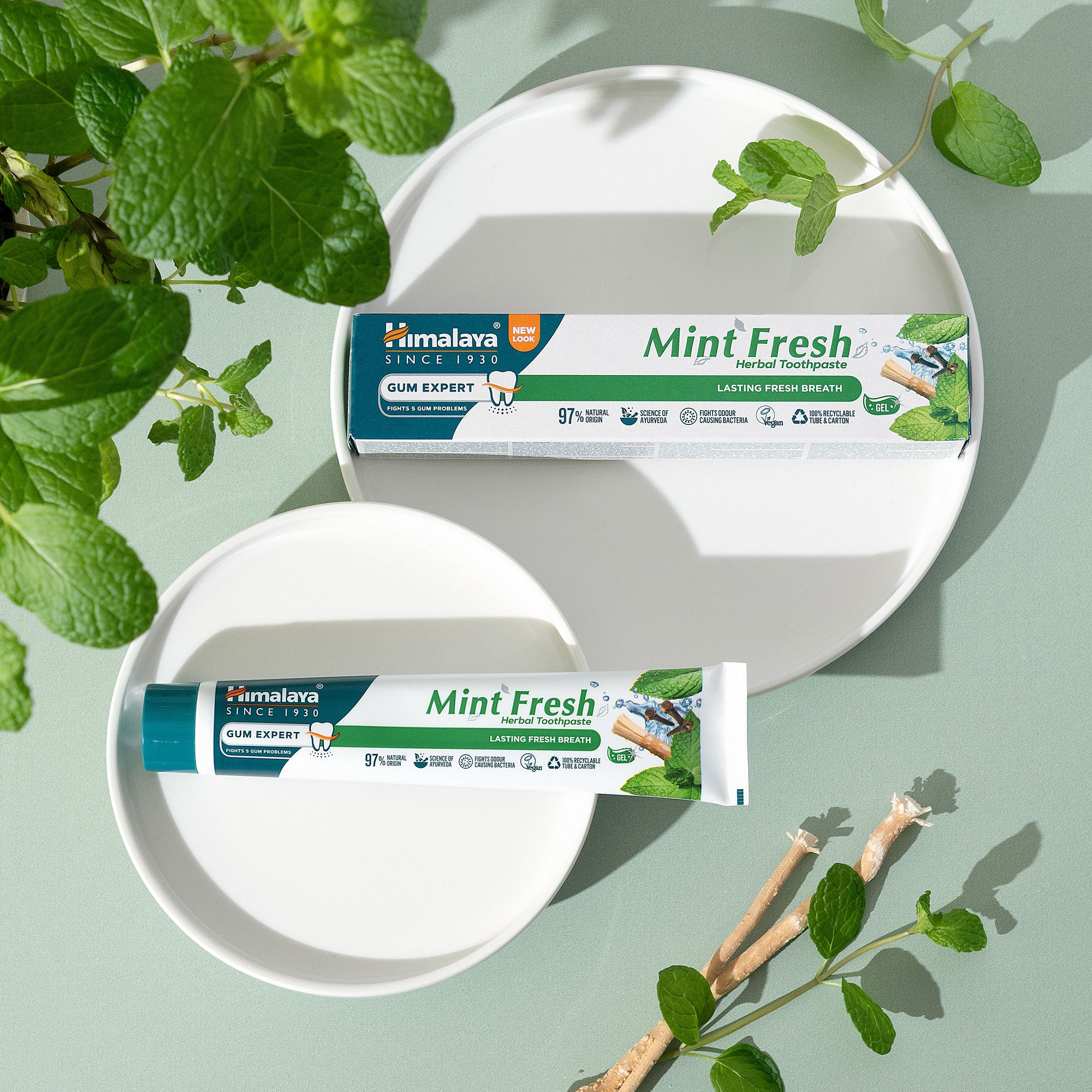 himalaya-gum-expert-mint-fresh-kr-uterzahnpasta-75-ml-fluoridfrei image 3