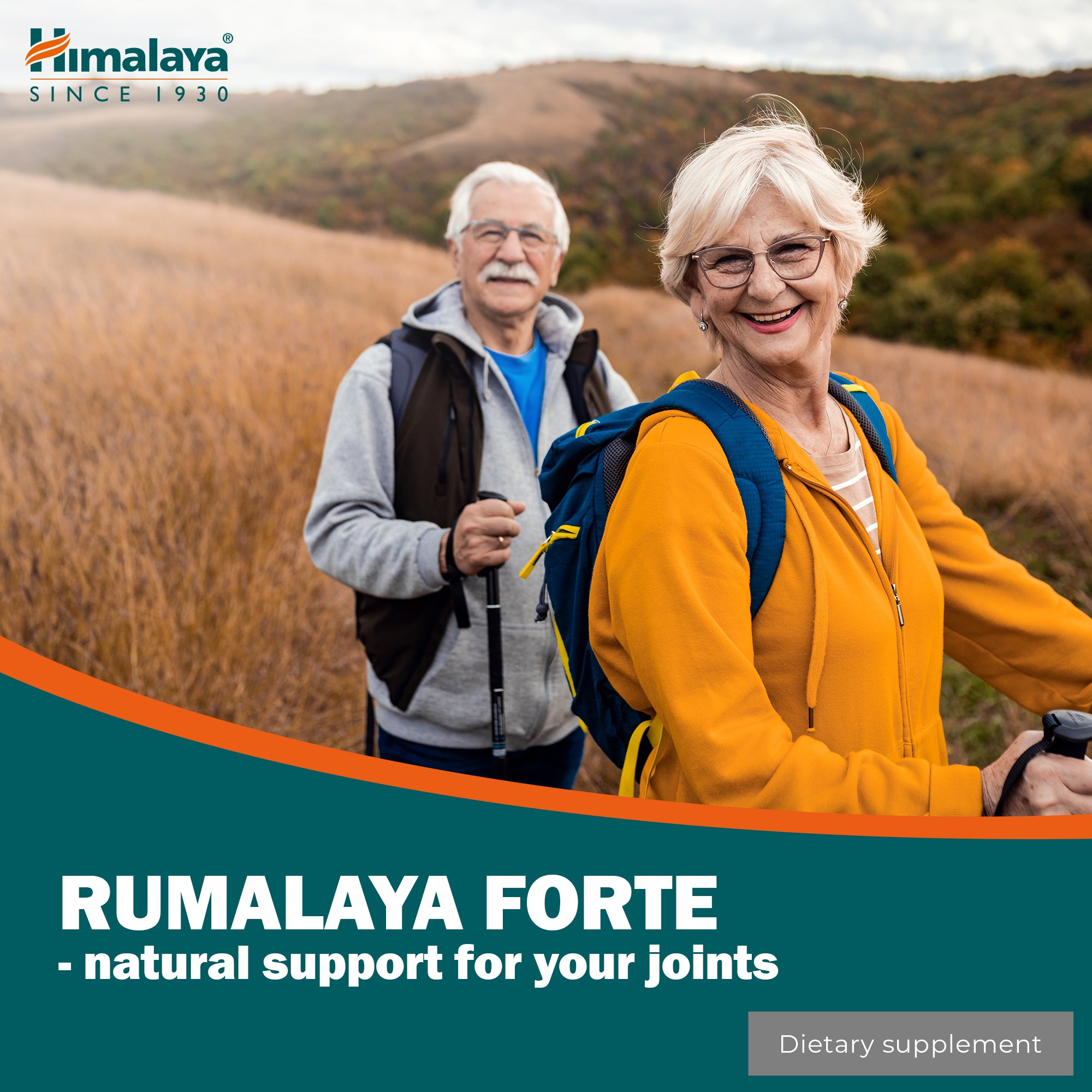 himalaya-rumalaya-forte-tabletten-60-stk-gelenke-muskeln image 3