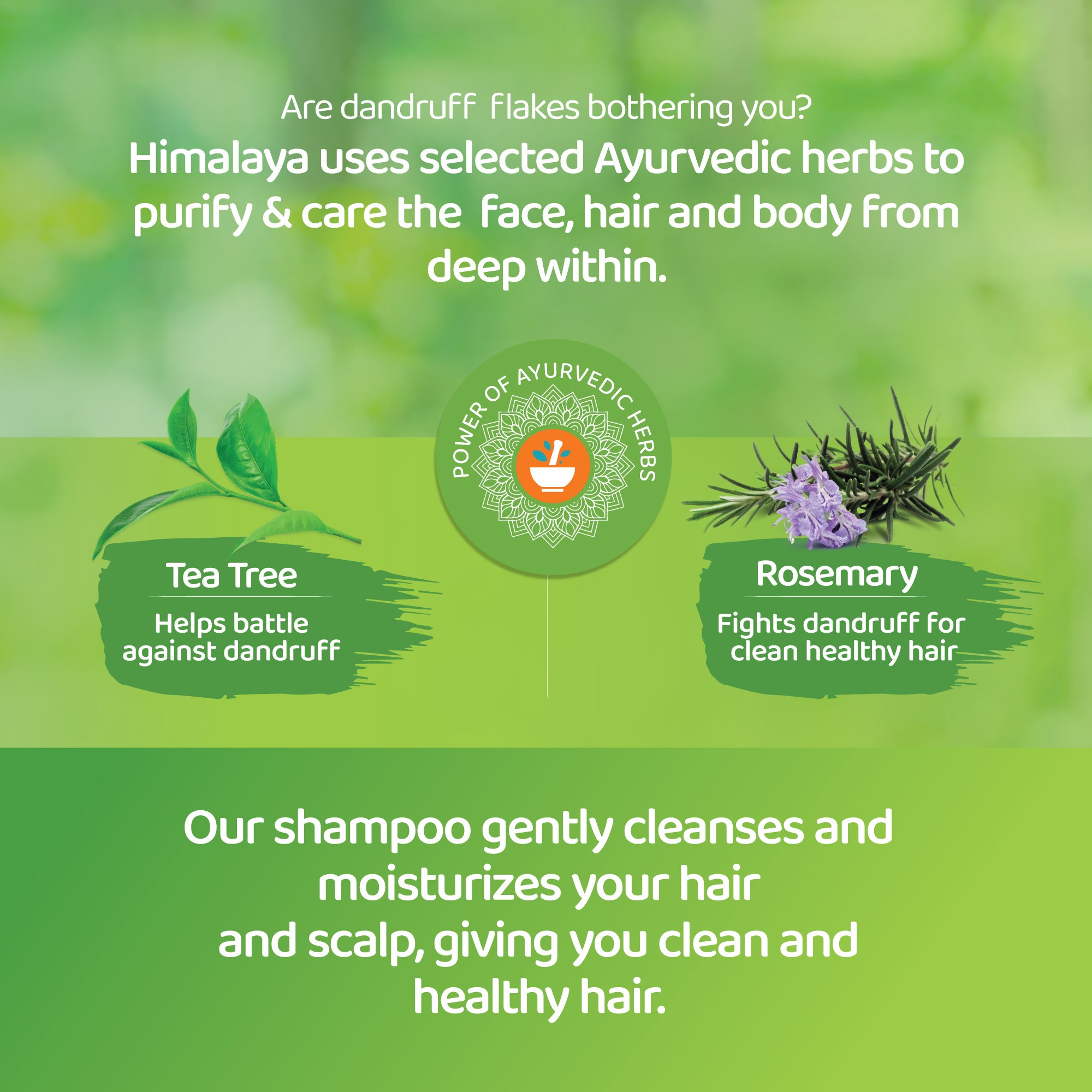 himalaya-anti-schuppen-shampoo-400-ml-teebaum-sanfte-reinigung image 3