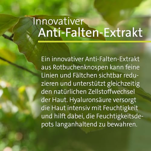 sanct-bernhard-rotbuchen-antifaltencreme-100-ml-f-r-reife-haut image 8