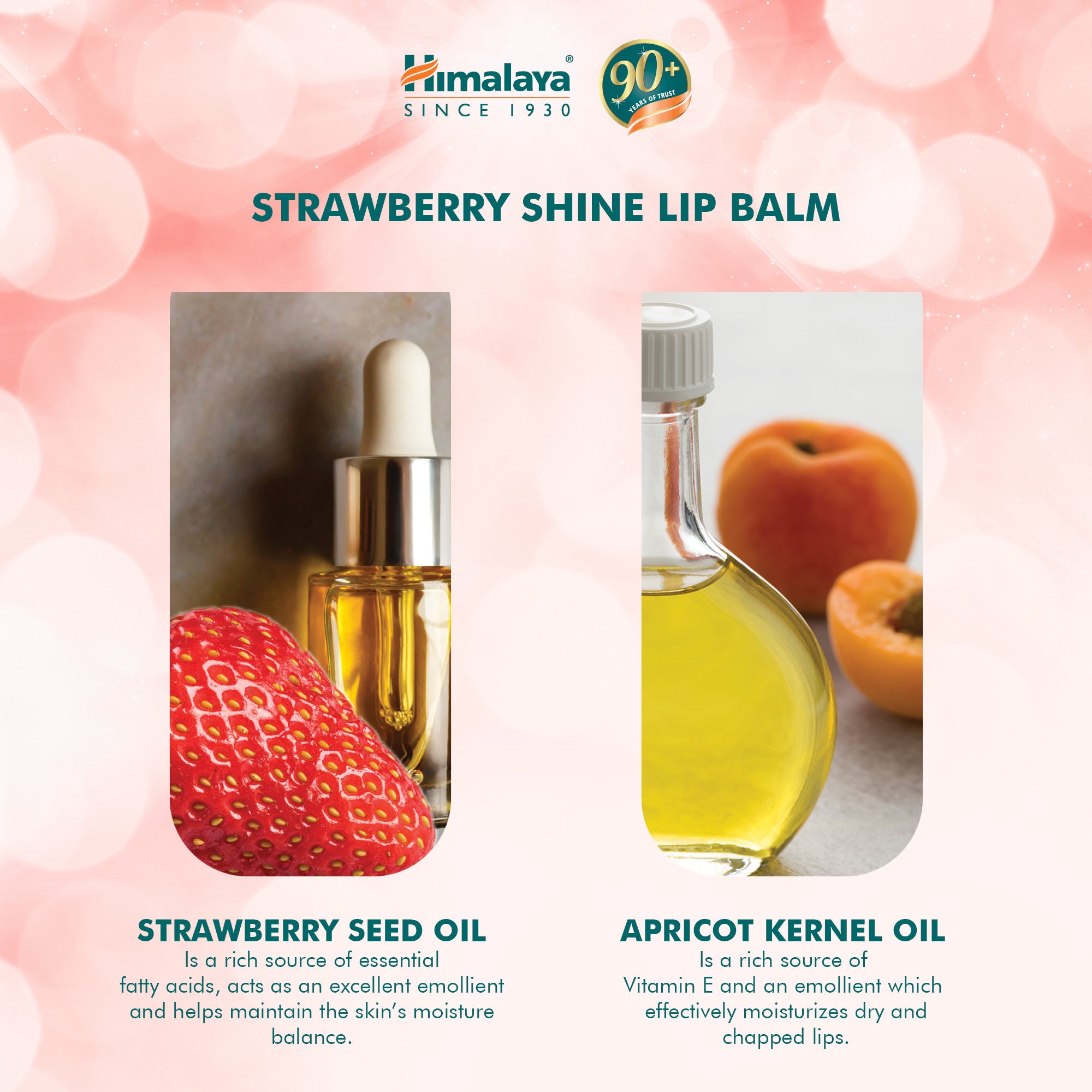 himalaya-lippenpflege-strawberry-gloss-lippenbalsam-10-g-erdbeere image 4