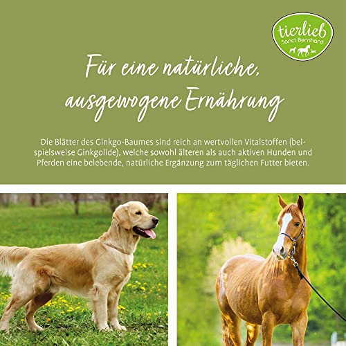 sanct-bernhard-tierlieb-ginkgo-pulver-400-g-hunde-pferde image 6