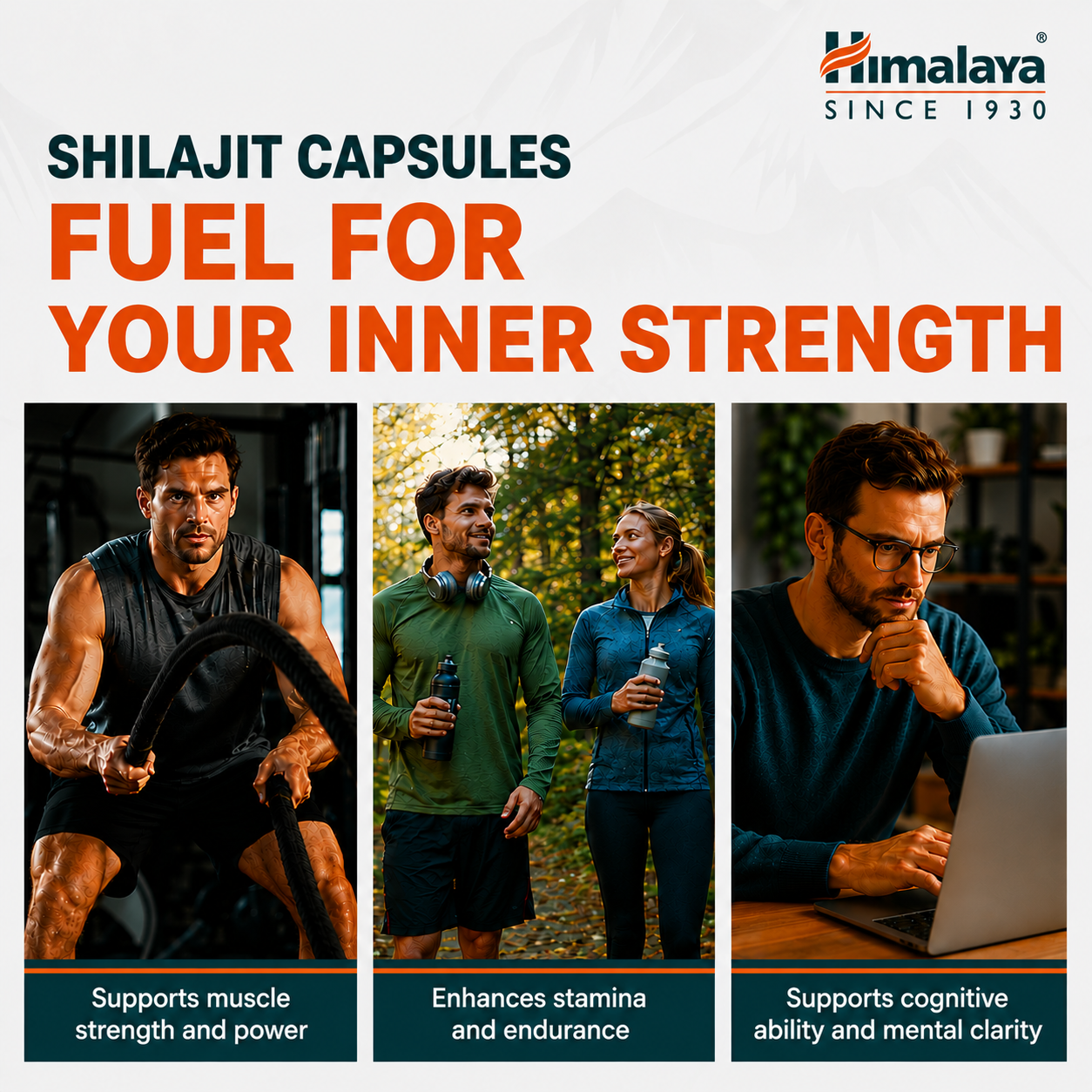 himalaya-shilajit-kapseln-60-kapseln-nahrungserg-nzung-mit-fulvos-ure image 2