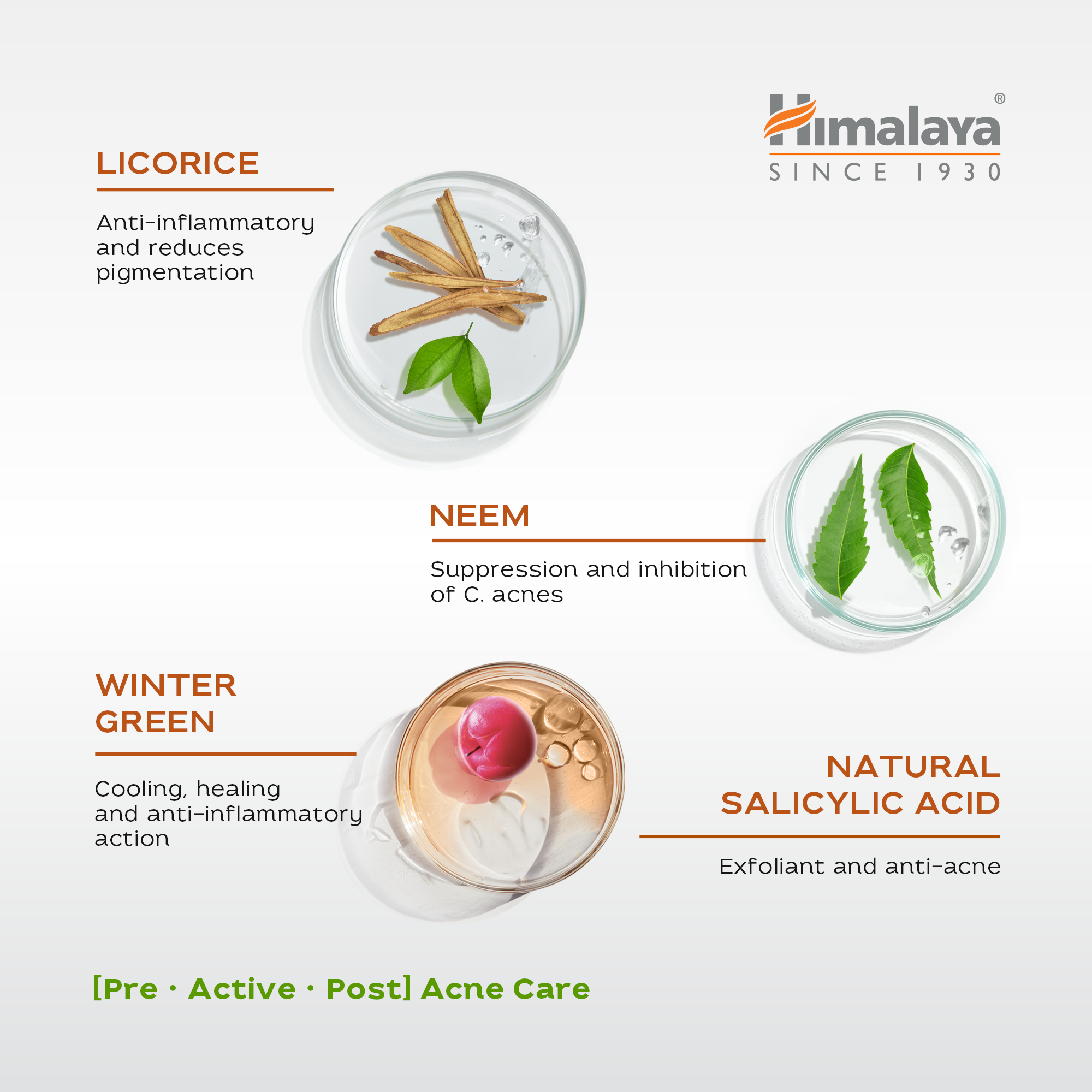 himalaya-acne-clear-waschgel-gesicht-200-ml-salicyls-ure image 4