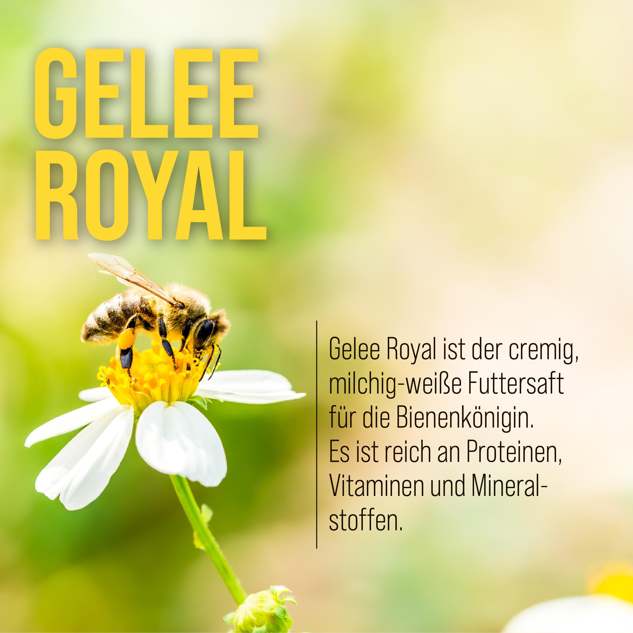 kr-uterhaus-sanct-bernhard-gelee-royal-trinkfl-schchen-1800-ml-mit-bl-tenpollen image 3