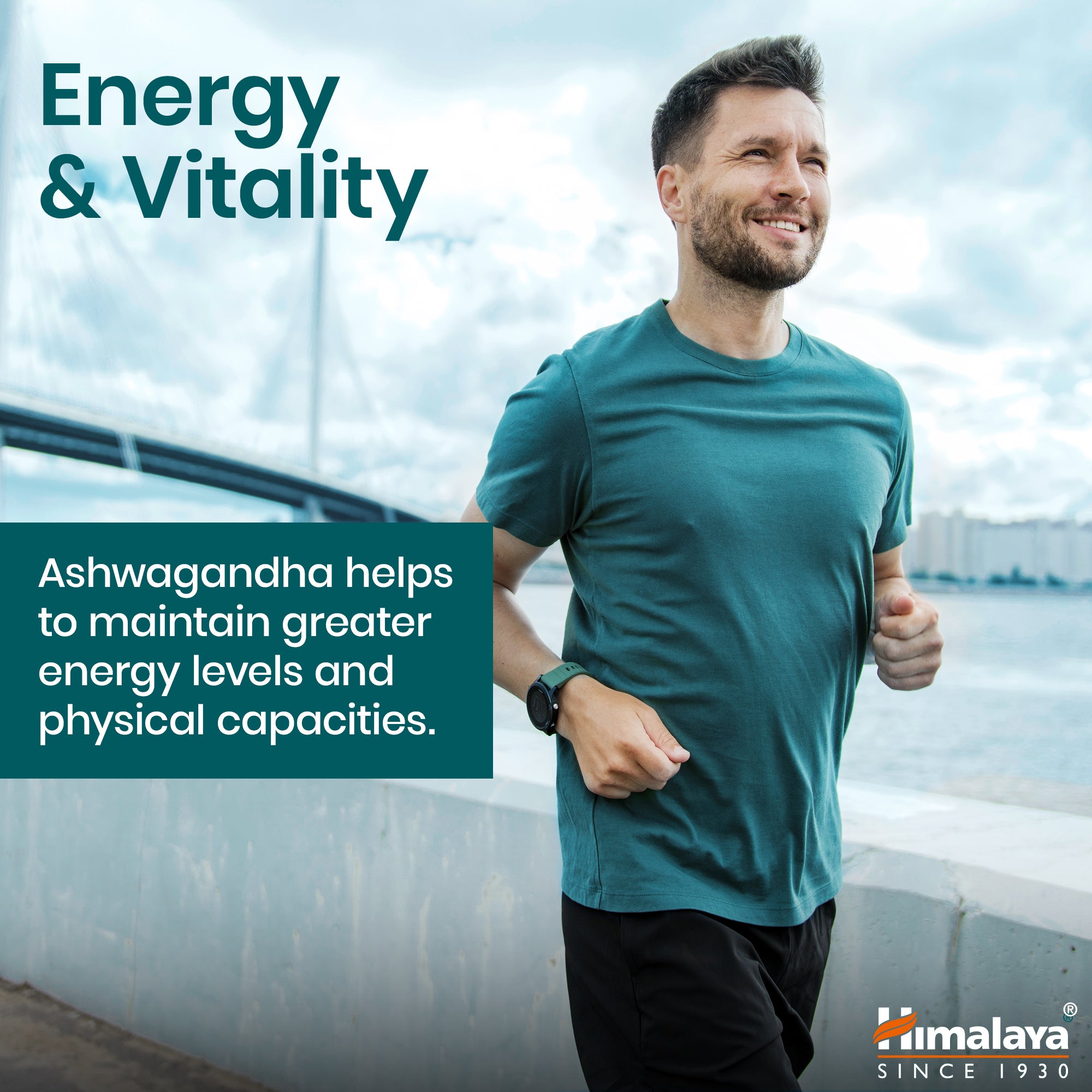 himalaya-bio-ashwagandha-tabletten-60-st-ck-stress-vegan image 3