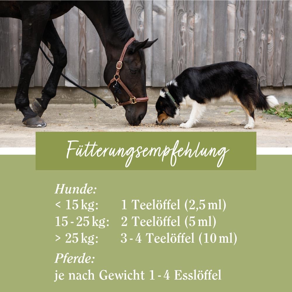 sanct-bernhard-tierlieb-lachs-l-hunde-pferde-1-liter-omega-3 image 5