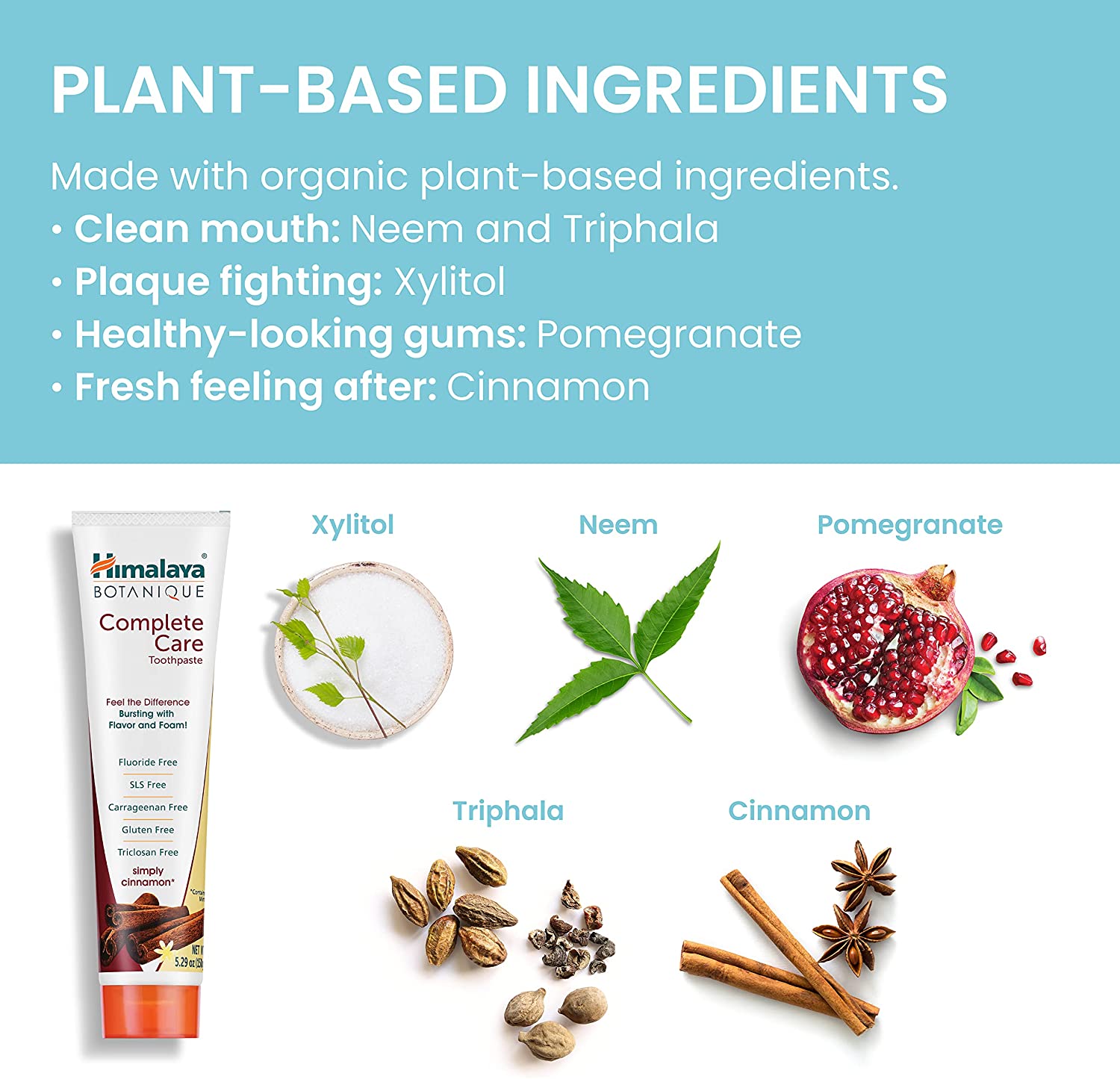 himalaya-botanique-complete-care-zahnpasta-150-g-simply-cinnamon image 4