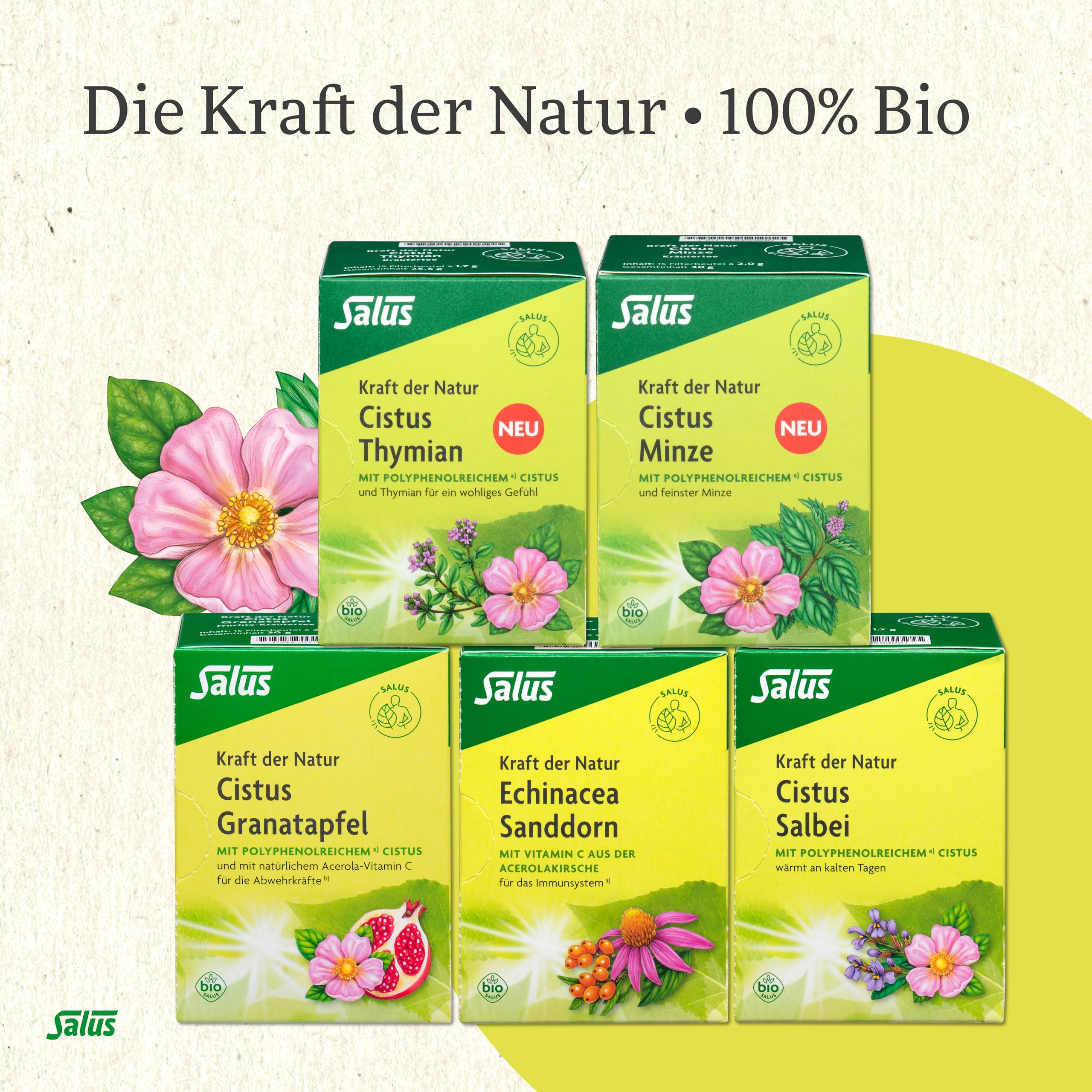 salus-kraft-der-natur-moringa-ingwer-tee-bio-15-stoffwechsel image 5