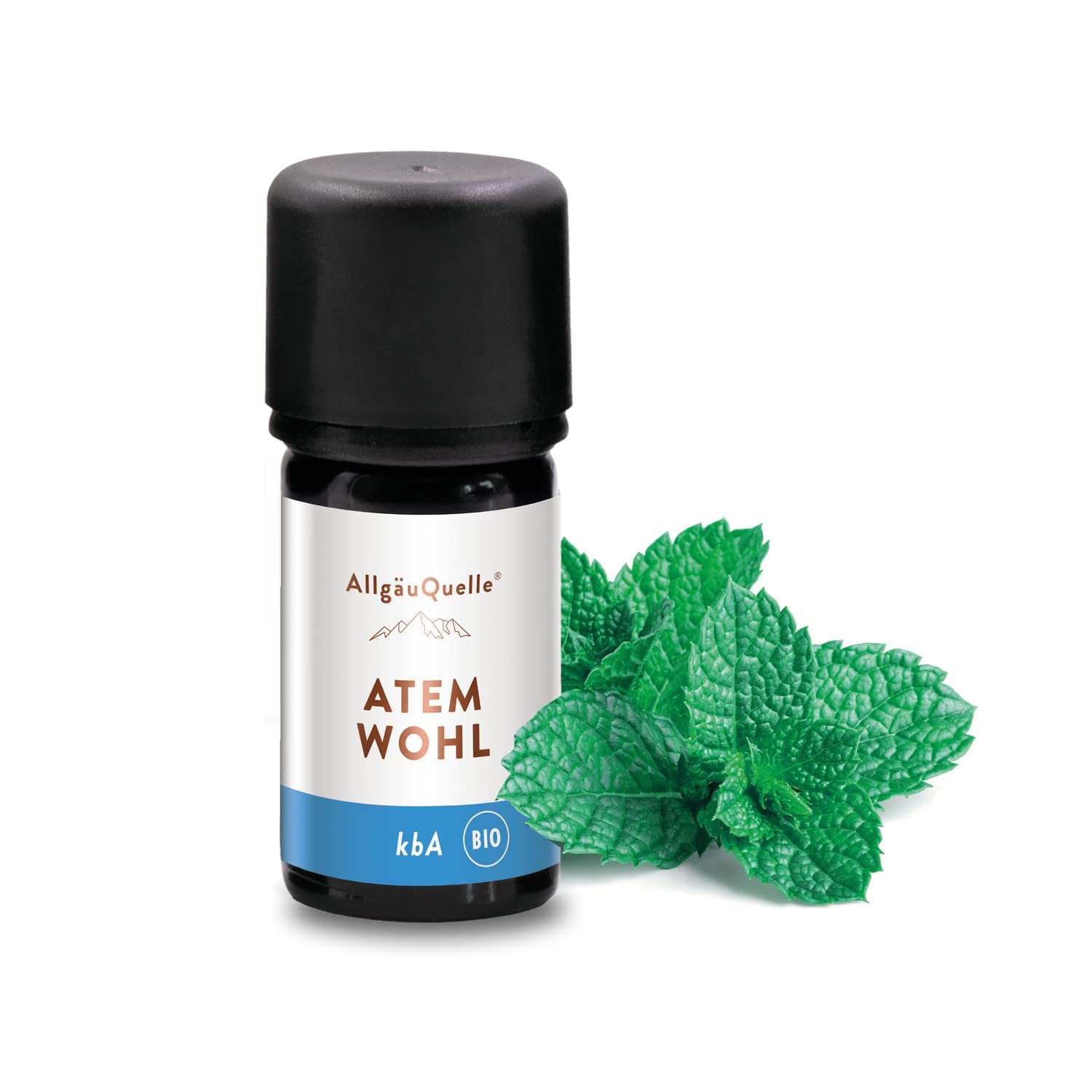 allg-uquelle-frische-kick-bio-duft-l-lemongrass-5-ml-diffusor image 7