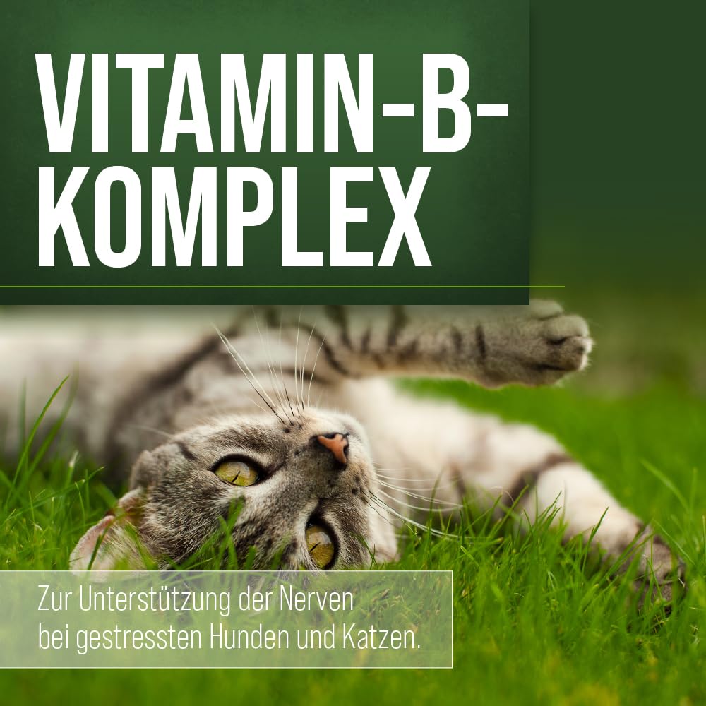 sanct-bernhard-vitamin-b-komplex-f-r-hunde-120-kapseln image 3