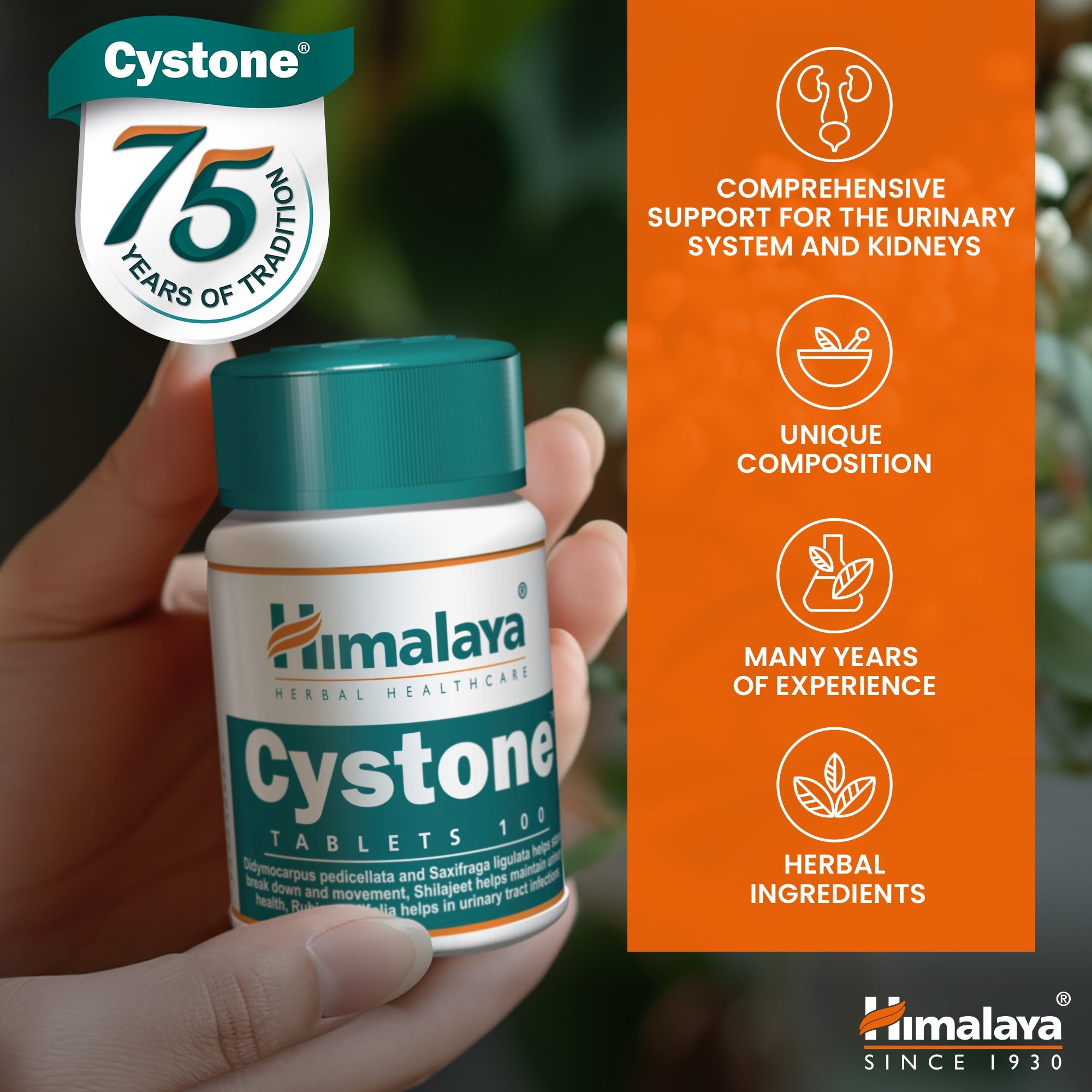 himalaya-cystone-tabletten-100-stk-nieren-harnwege image 7