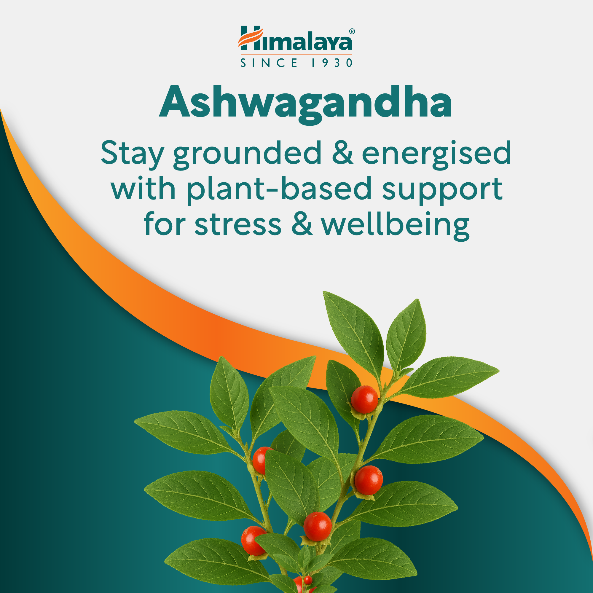 himalaya-ashvagandha-stress-wellness-60-tabletten-vegan image 4