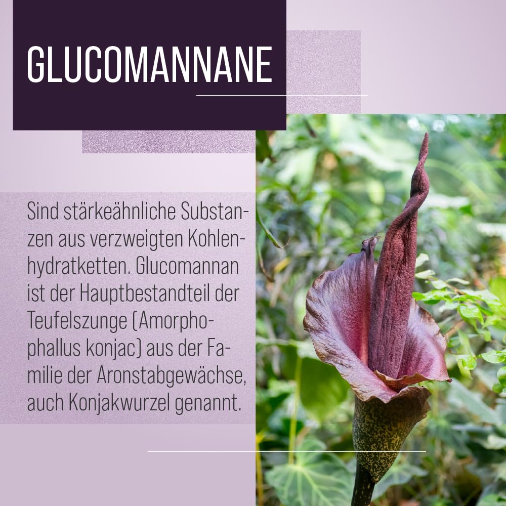 sanct-bernhard-glucomannan-drink-konjak-42-portionen-abnehmen image 3