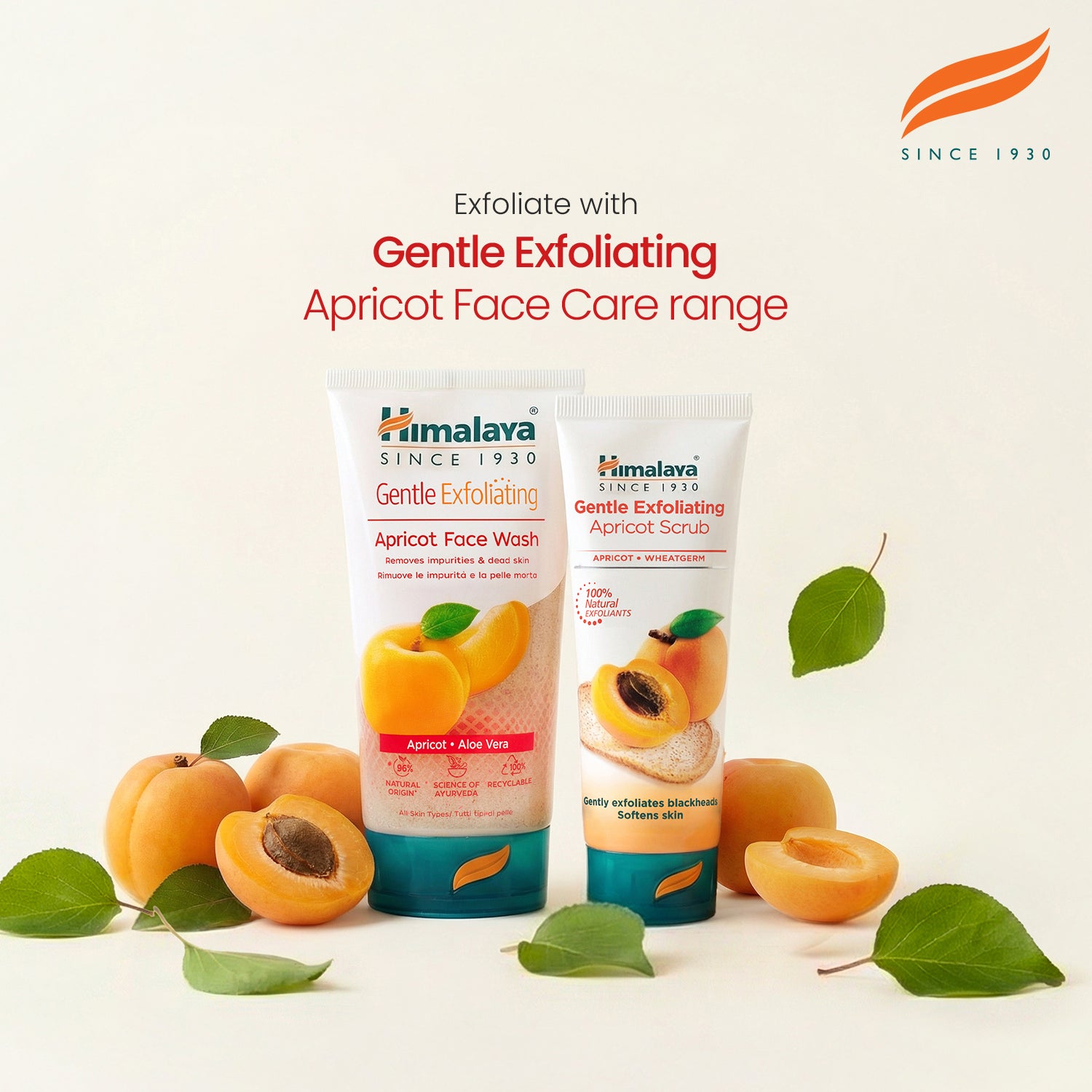 himalaya-aprikosen-gesichtspeeling-sanft-75-ml-mitesser image 6
