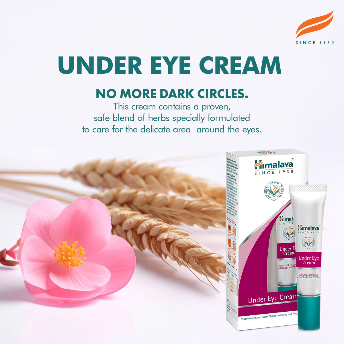 himalaya-augencreme-15-ml-gegen-augenringe-falten image 3