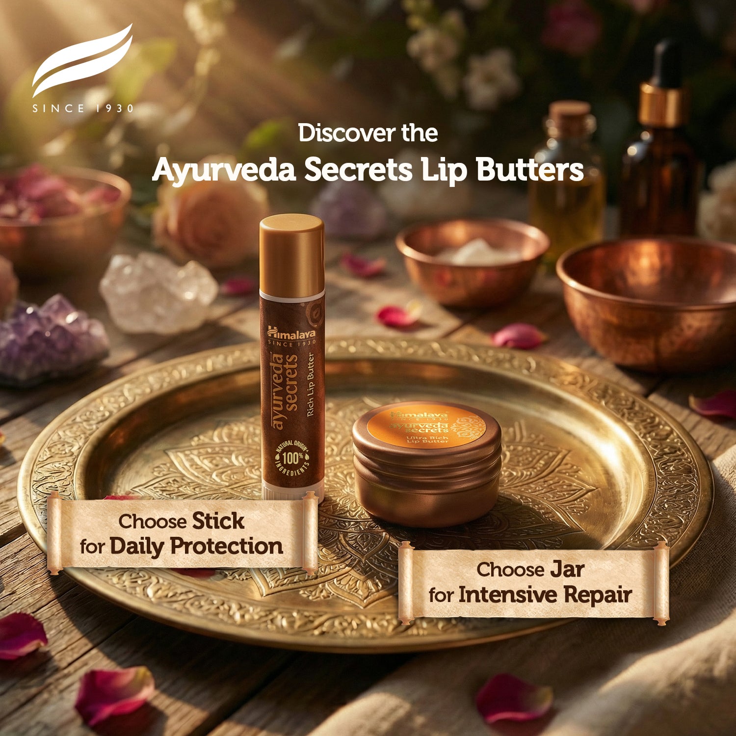 himalaya-ayurveda-secrets-ultra-lippenbutter-8-5-g-vanille-tiegel image 7