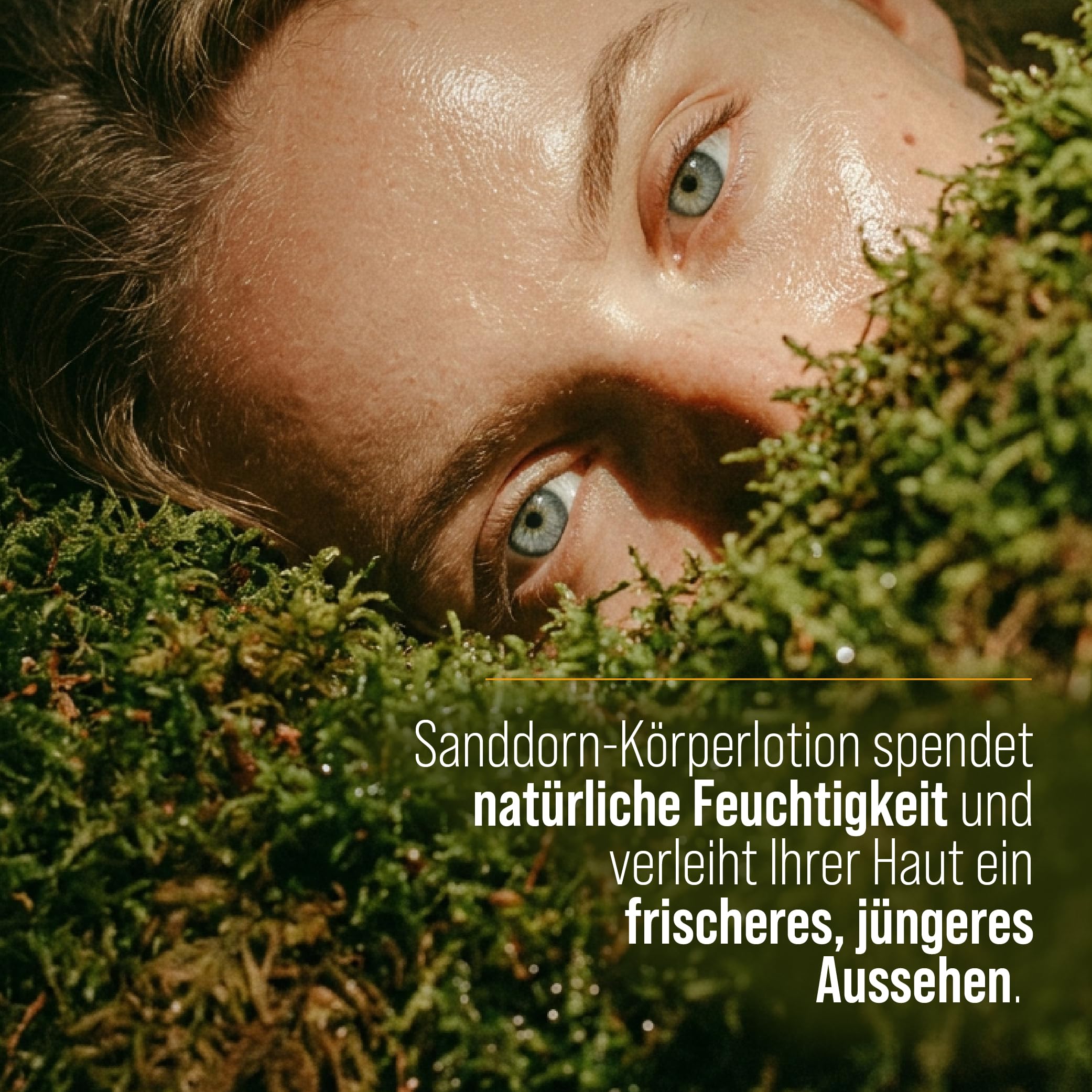 sanct-bernhard-sanddorn-k-rperlotion-250-ml-seide image 4