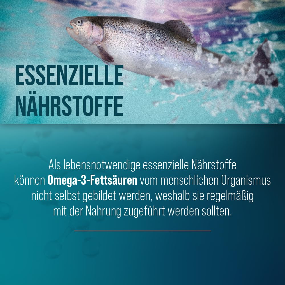 sanct-bernhard-omega-3-fisch-l-kapseln-500-mg-1000-st-ck-xxl image 2