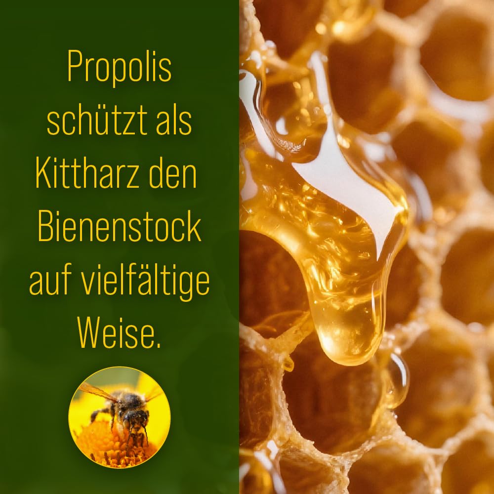 sanct-bernhard-propolis-vitamin-c-kapseln-90-kapseln-immun image 3