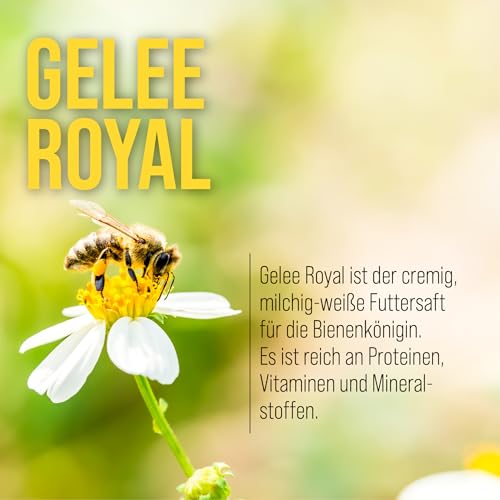 sanct-bernhard-gelee-royal-vitamin-kapseln-120-st-b-komplex image 8