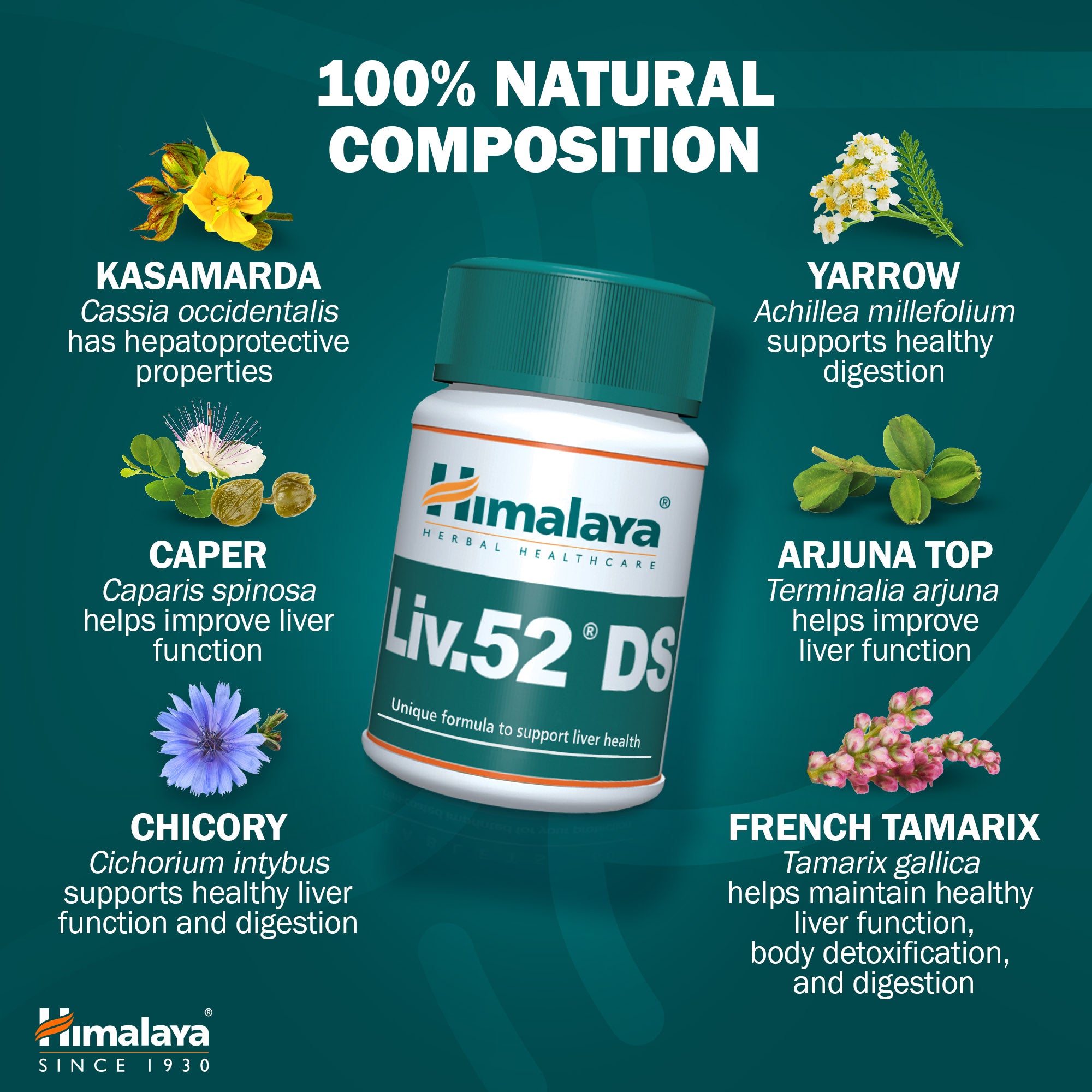 himalaya-liv-52-ds-tabletten-60-stk-leber-verdauung image 5